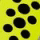 Chartreuse Black Dot