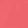 Pink Salmon