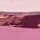 Pace Pink