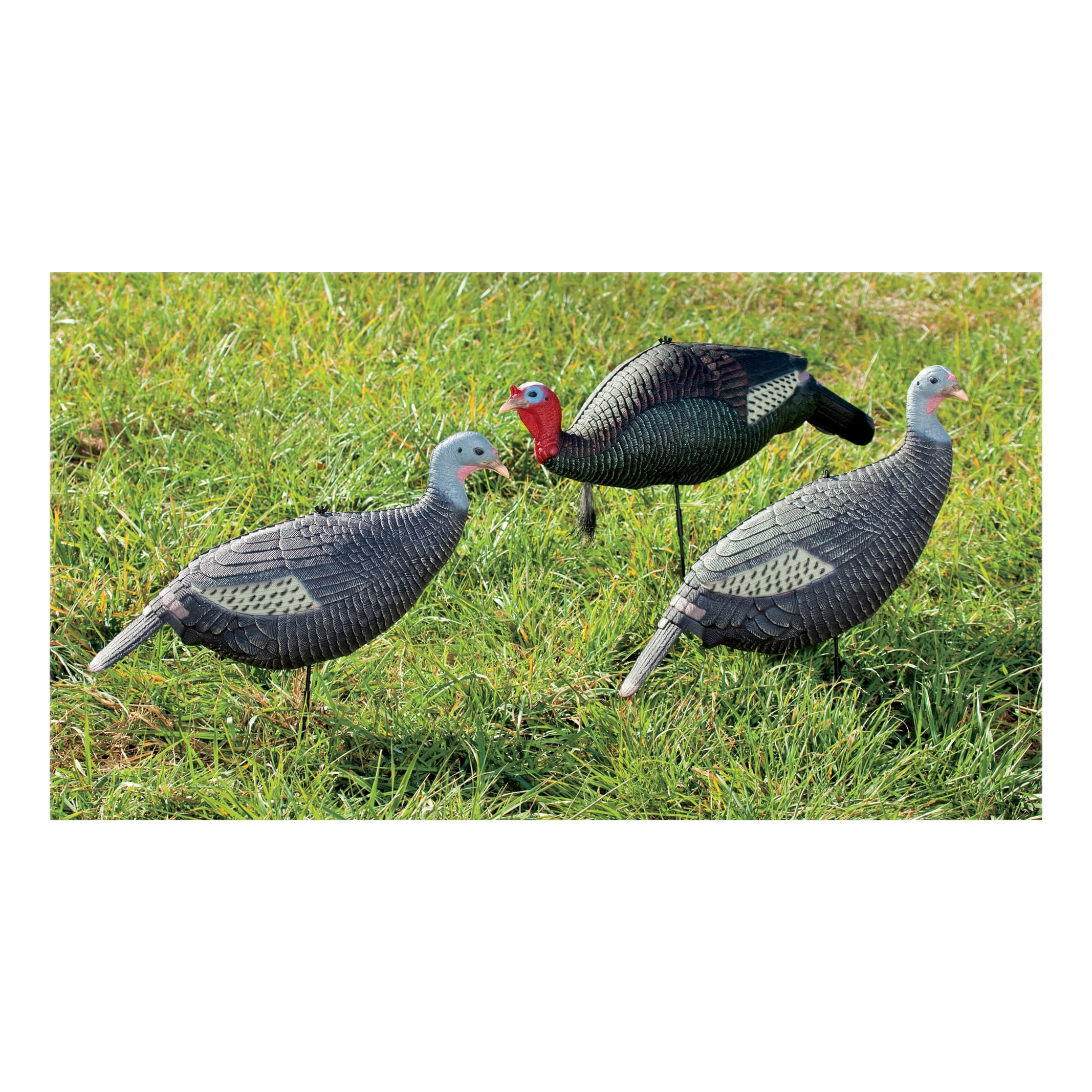 RedHead® Foam Turkey Decoy 3Pack Cabela's Canada