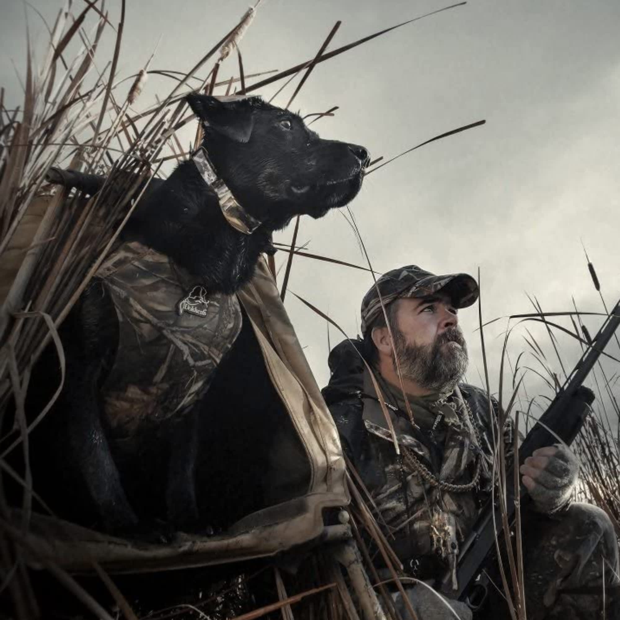 SportDOG Brand WetlandHunter 425X Camo Remote Trainer Cabela s