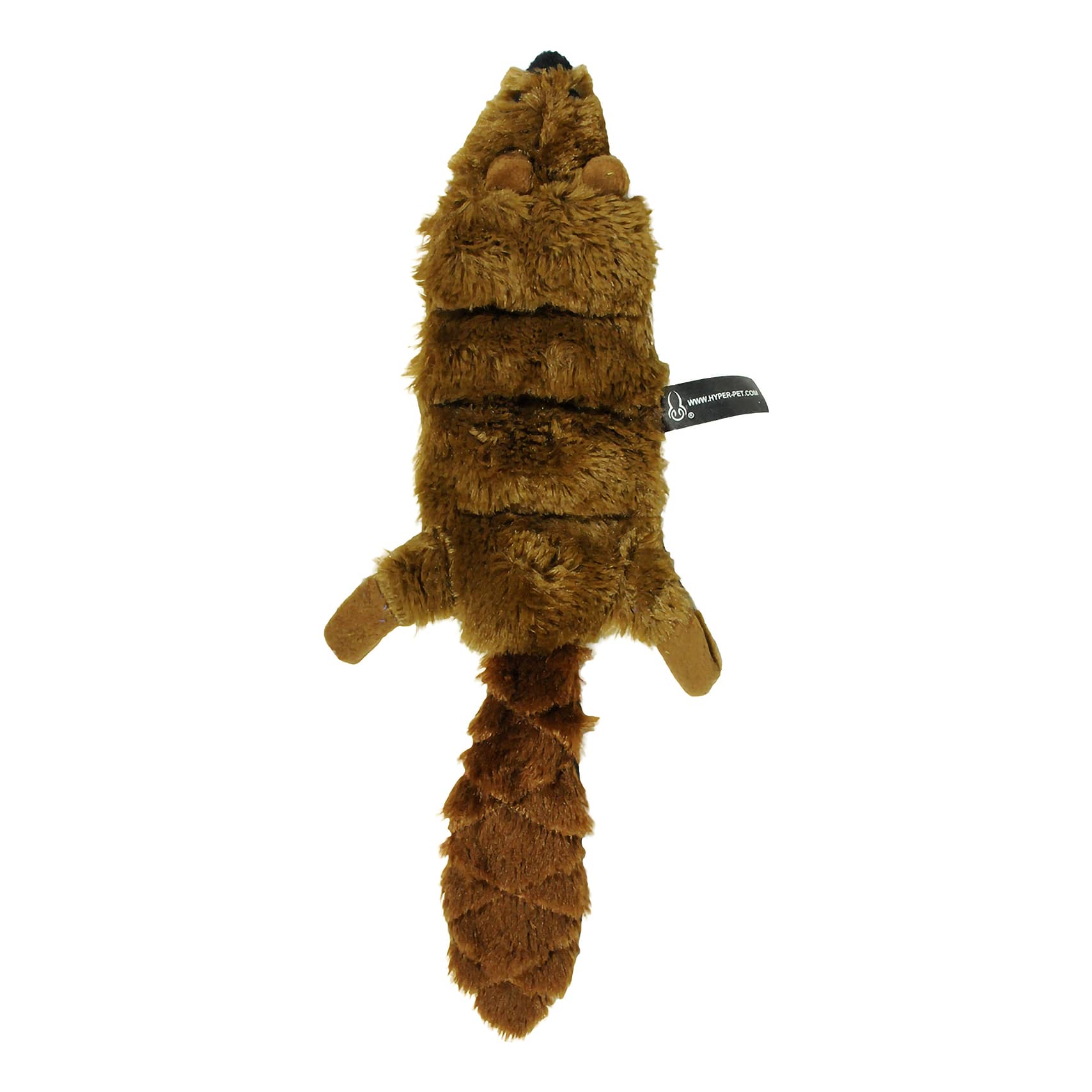 Squeaky beaver dog toy shop