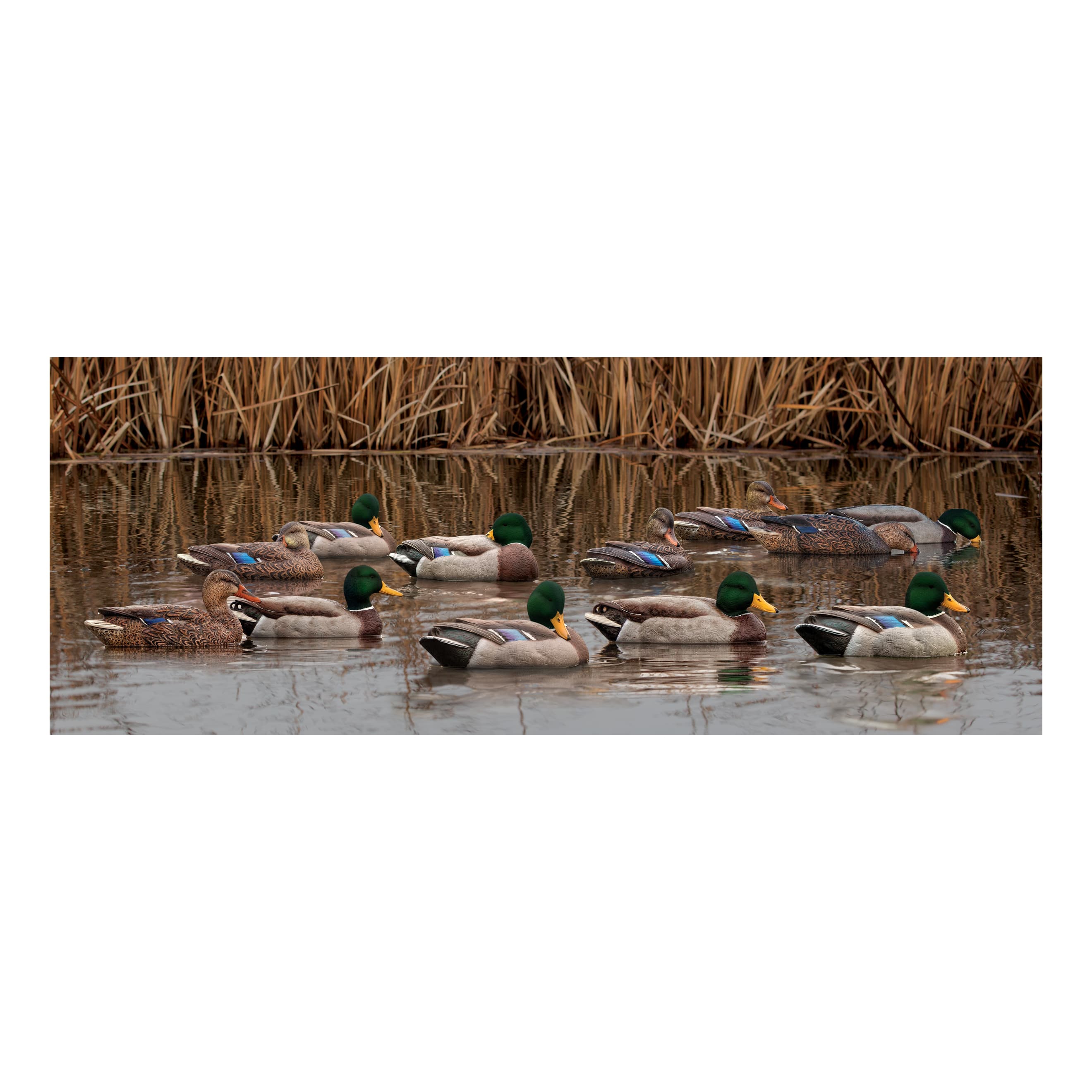 Avian-X® TopFlight® Mallard Duck Decoy Outfitter Pack