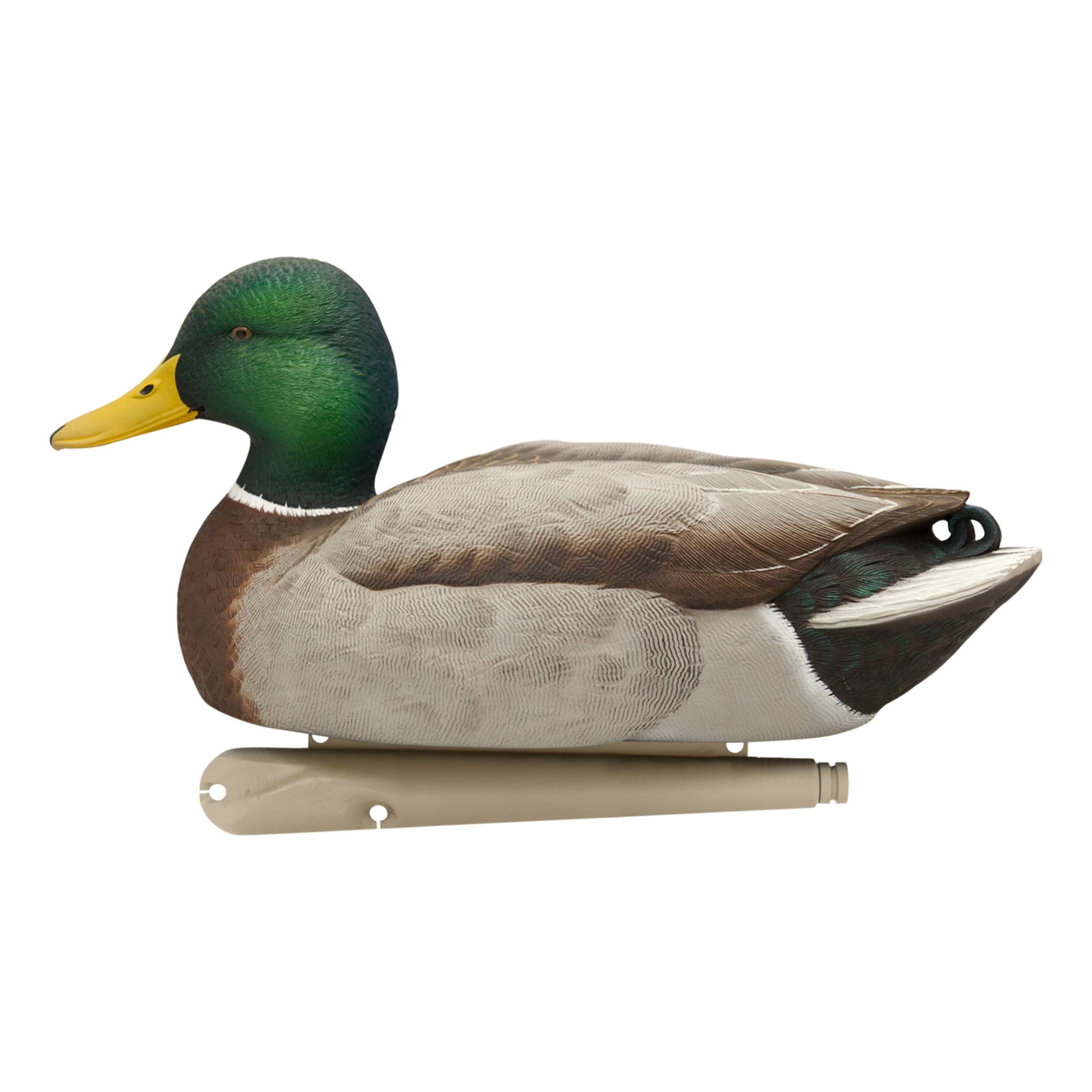 Avian-X® TopFlight® Mallard Duck Decoy Outfitter Pack - Mallard Drake High Head