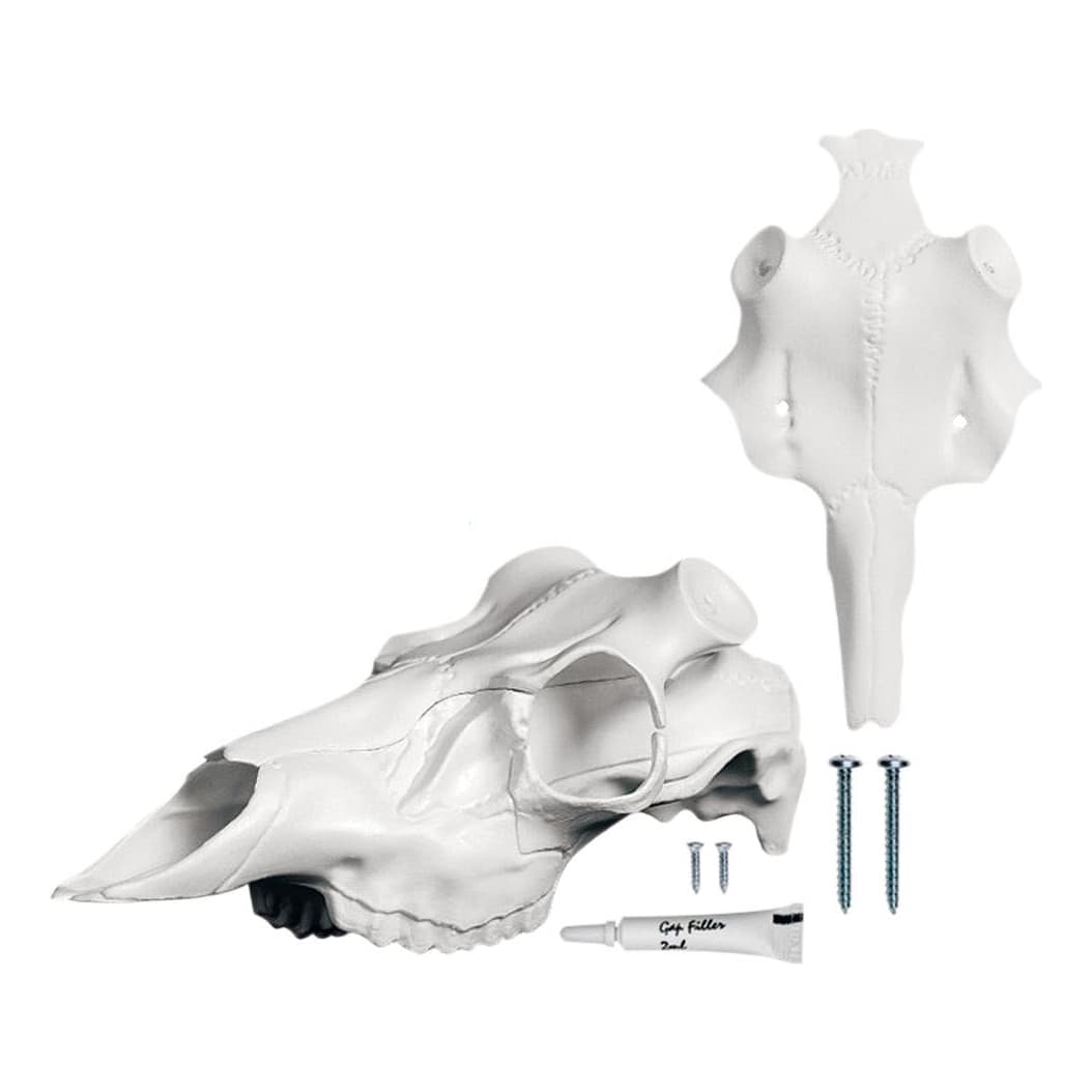 European deer cheap mount kit