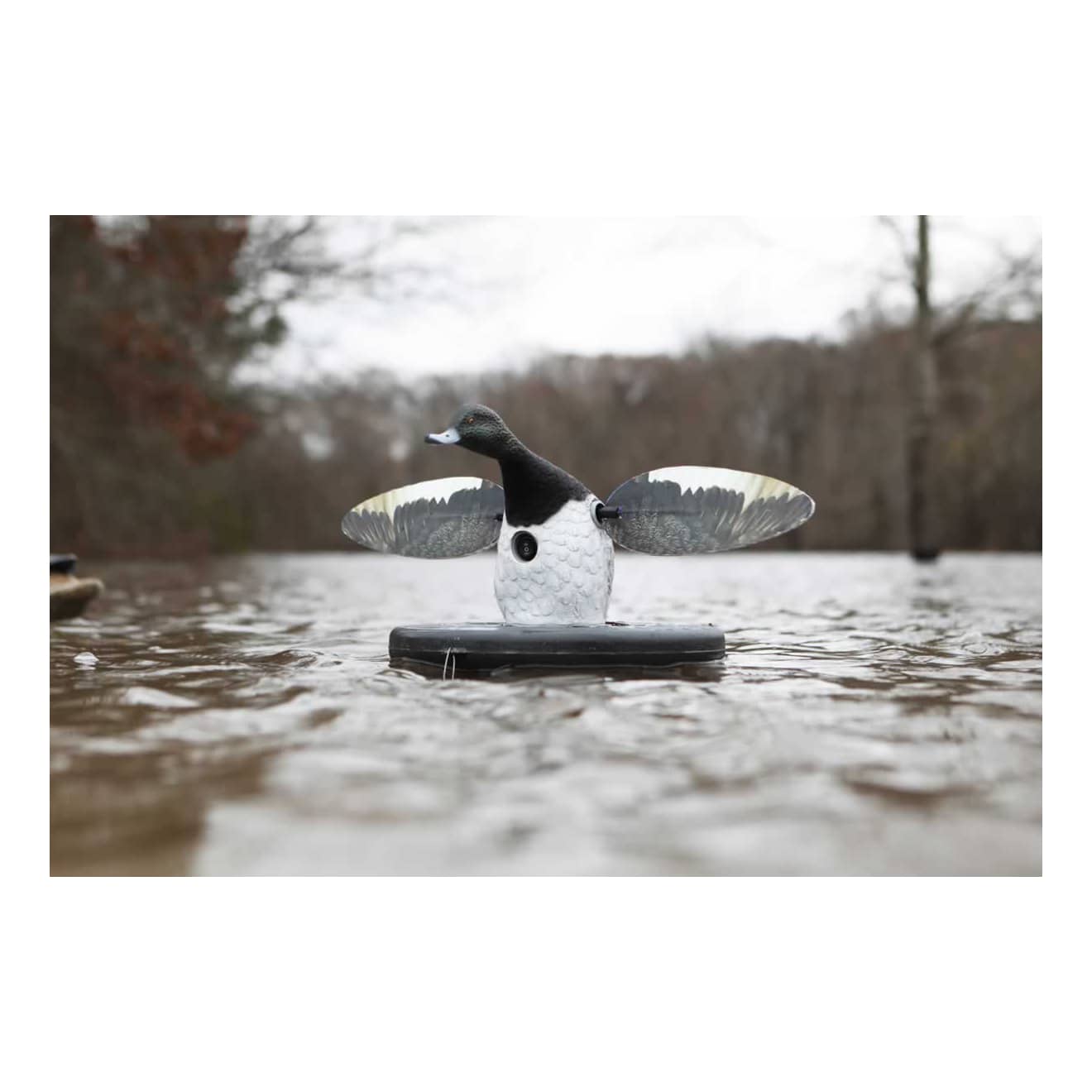 Mojo Outdoors® Elite Series Floater Duck Decoy - Bluebill - In the Field