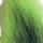 Fluorescent Chartreuse