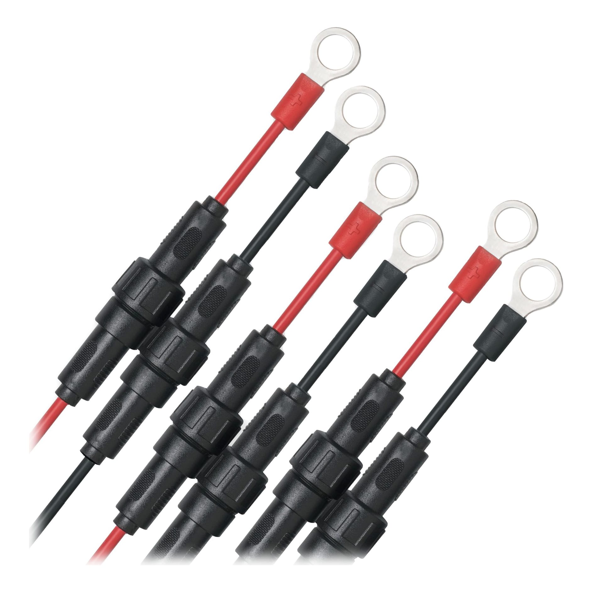 Bass Pro Shops® XPS® Extreme Performance Series Marine Battery Charger