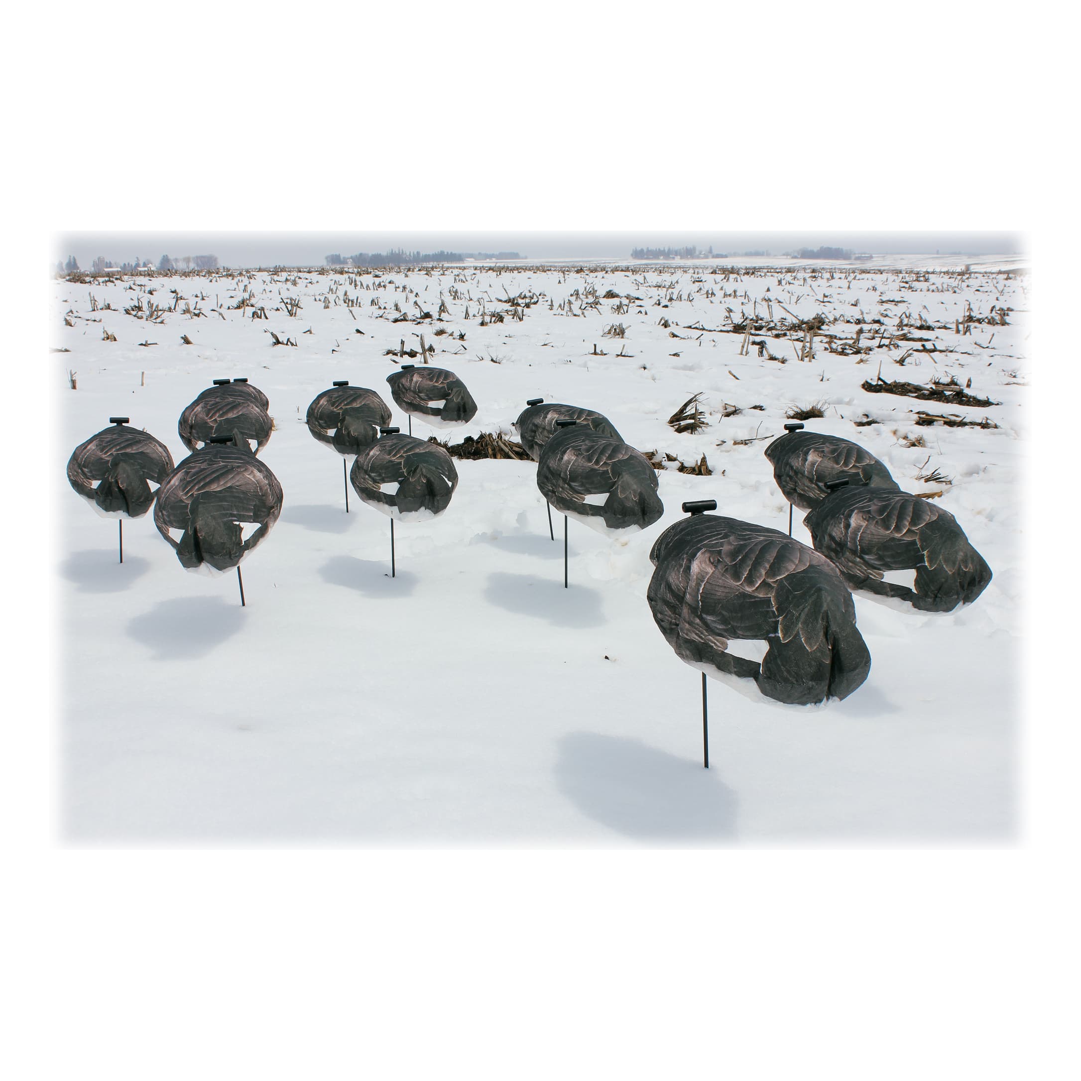 White Rock Decoys Headless Canada Goose Windsock Goose Decoys Cabela