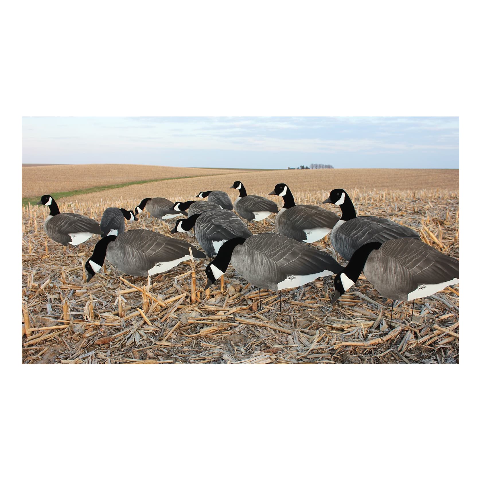 White Rock Decoys Flocked Head Canada Goose Silhouettes Cabela's Canada