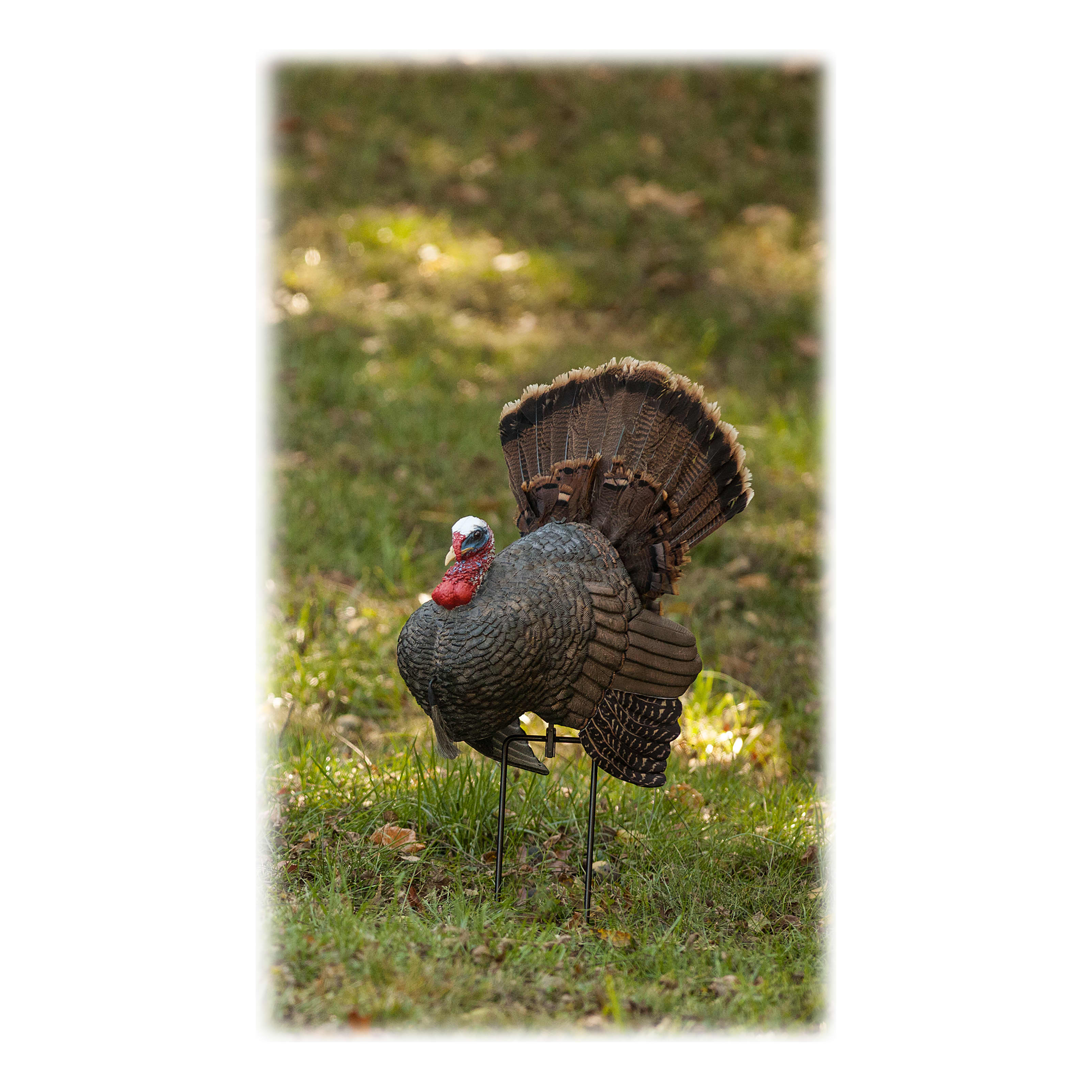 RedHead Reality Series® Crazy Jake Turkey Decoy Cabela's Canada