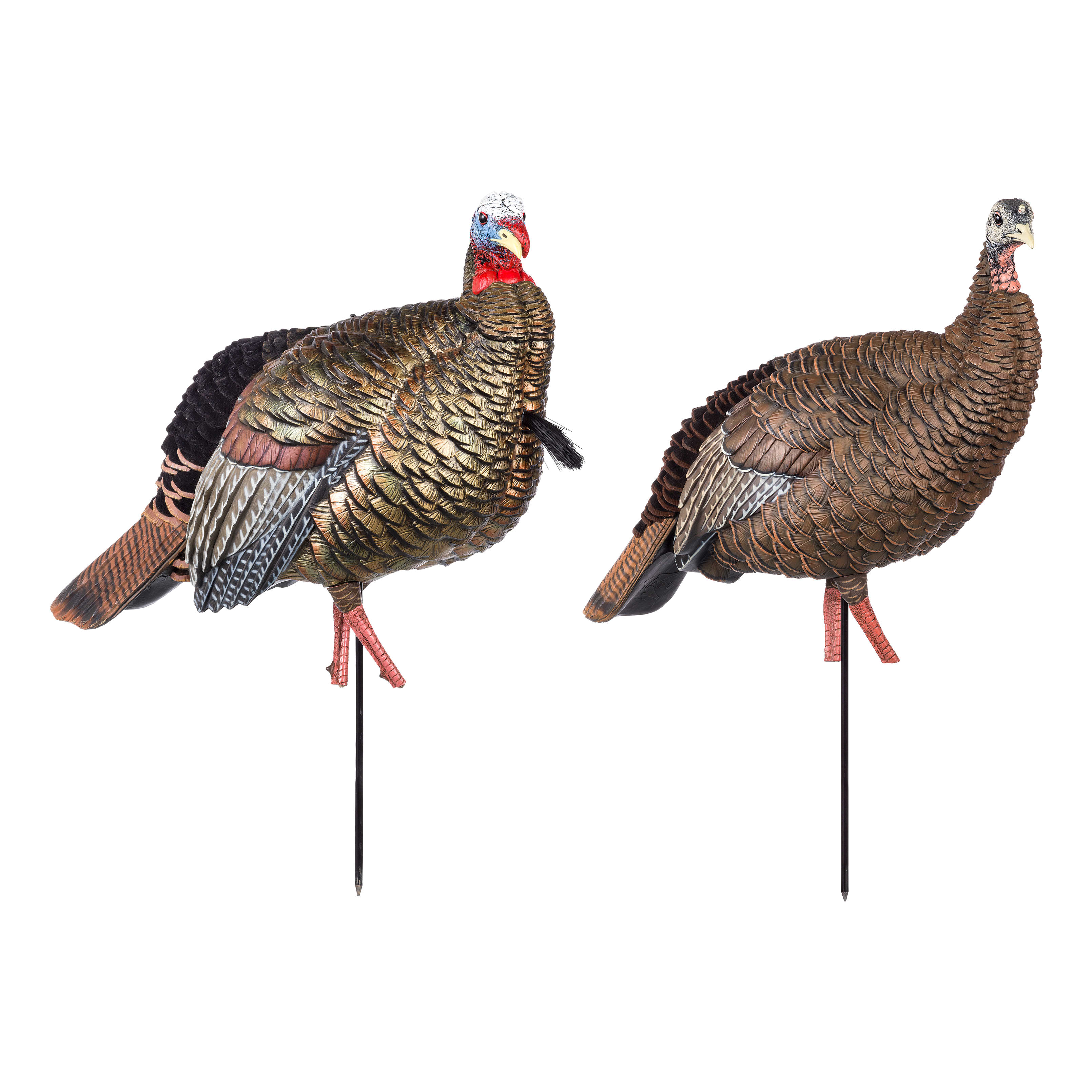 AvianX® HDR Jake and Hen Turkey Decoy Combo Cabela's Canada