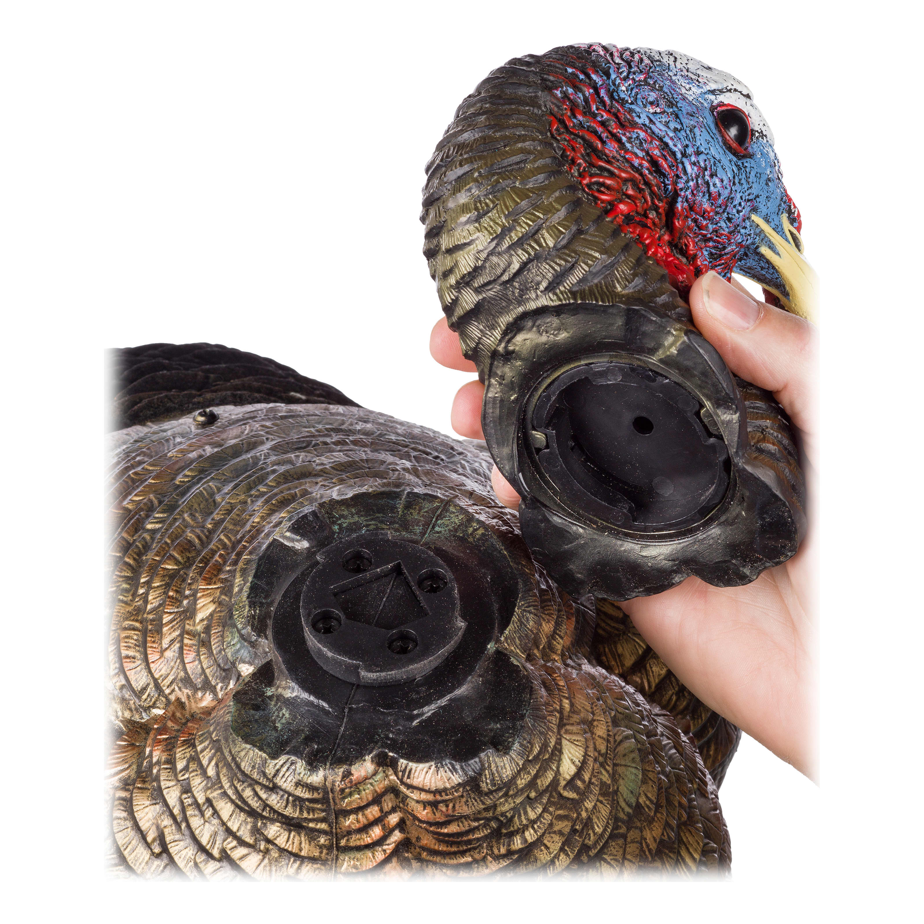 Avian-X HDR Jake and Hen Turkey Decoy Combo - 2 Removable Head Designs - Head 2