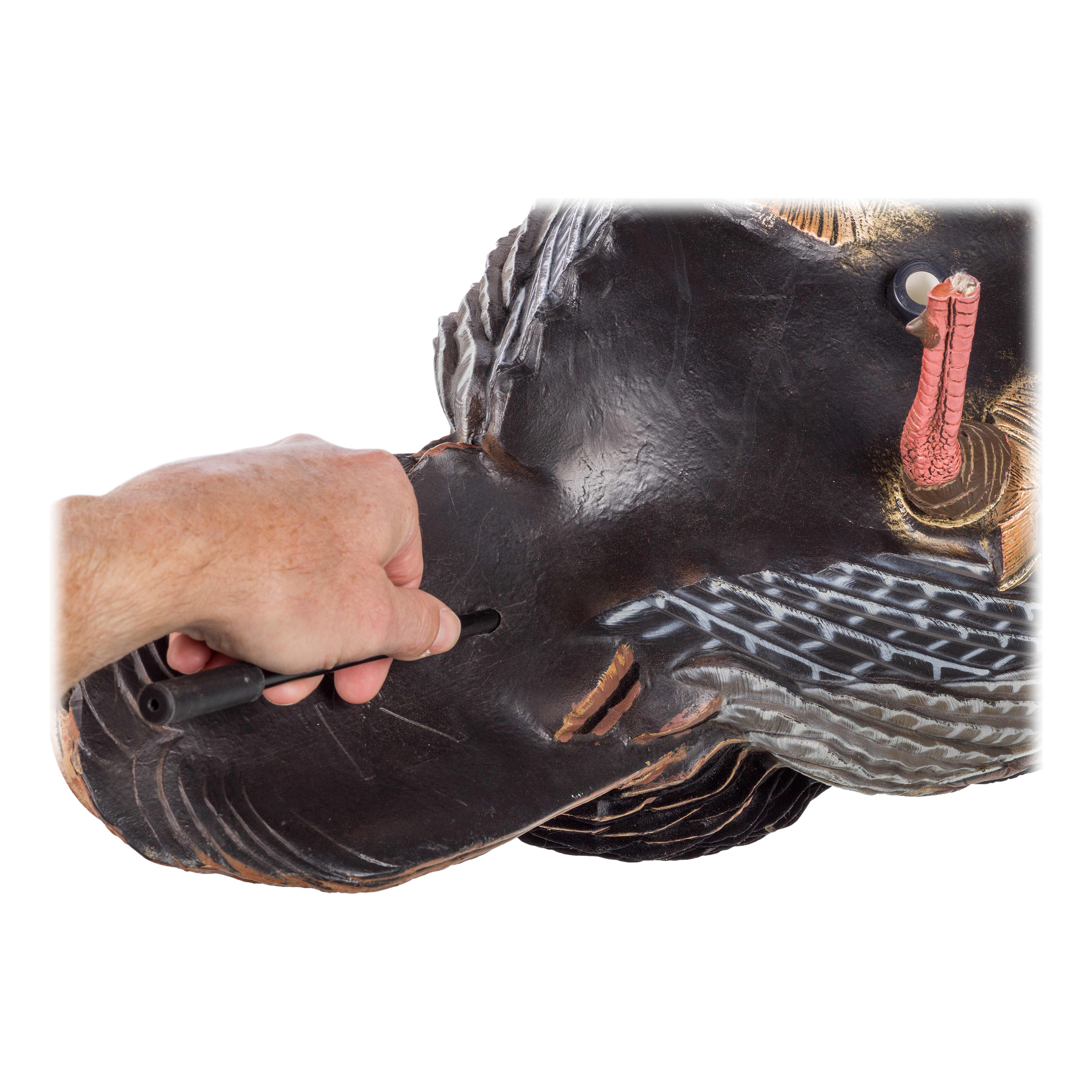 Avian-X HDR Jake and Hen Turkey Decoy Combo - Mounting Stake Stores in Tail