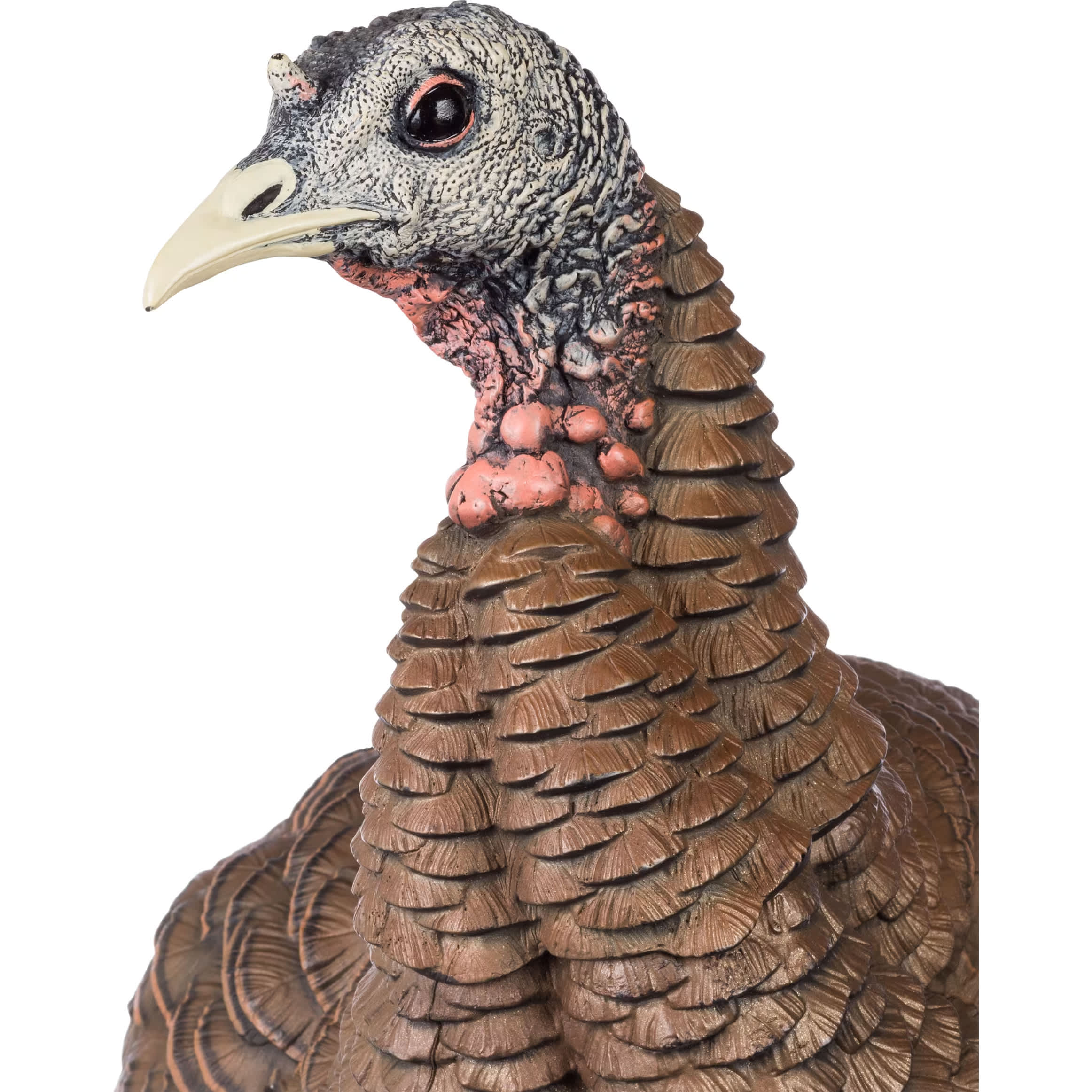 AvianX® HDR Hen Turkey Decoy Cabela's Canada