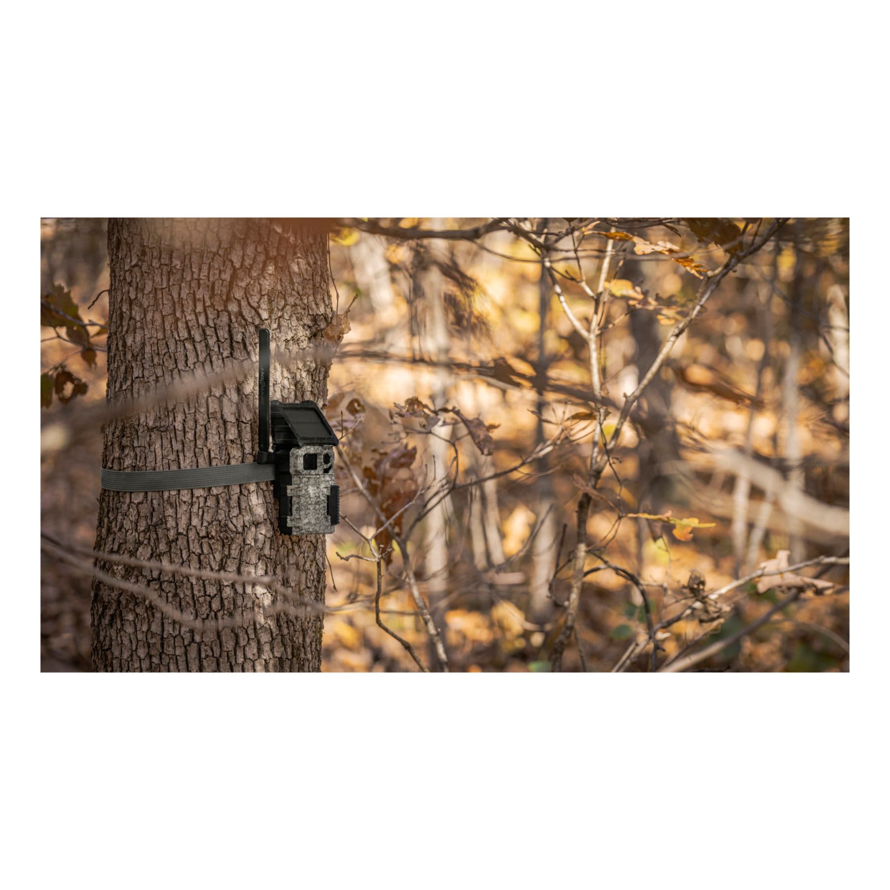 SPYPOINT® LINK MICRO S LTE Cellular Trail Camera Cabela's Canada