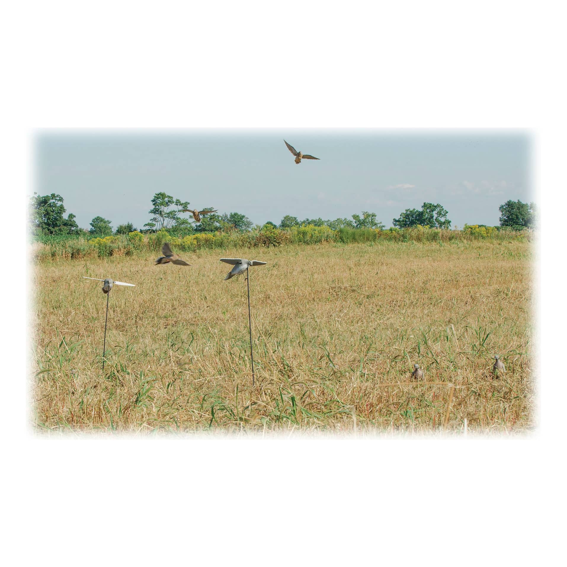 Lucky Duck™ Lucky Dove HD Motorized Dove Decoy Cabela's Canada