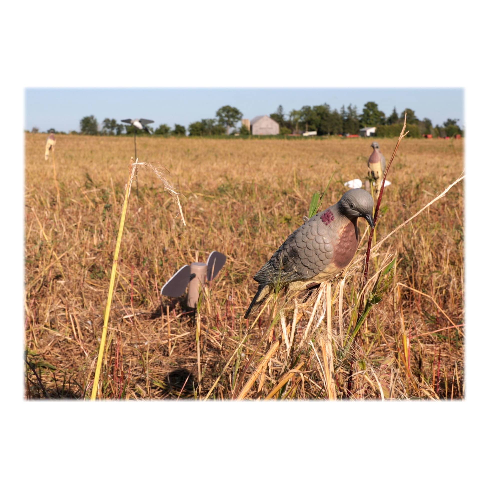 Lucky Duck™ ClipOn Dove Decoys With Stakes Cabela's Canada