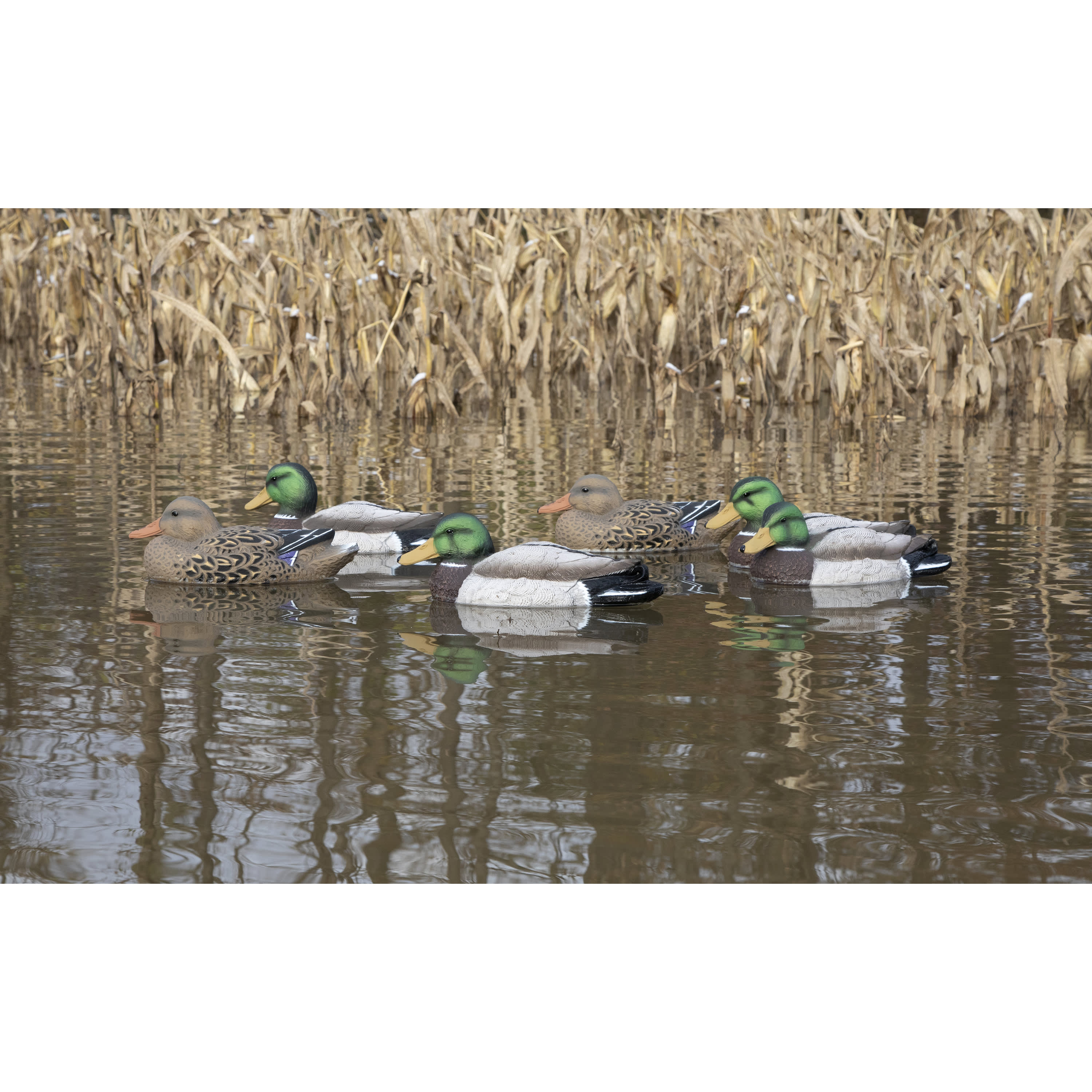 Higdon Outdoors Standard Foam-Filled Mallard Duck Decoys