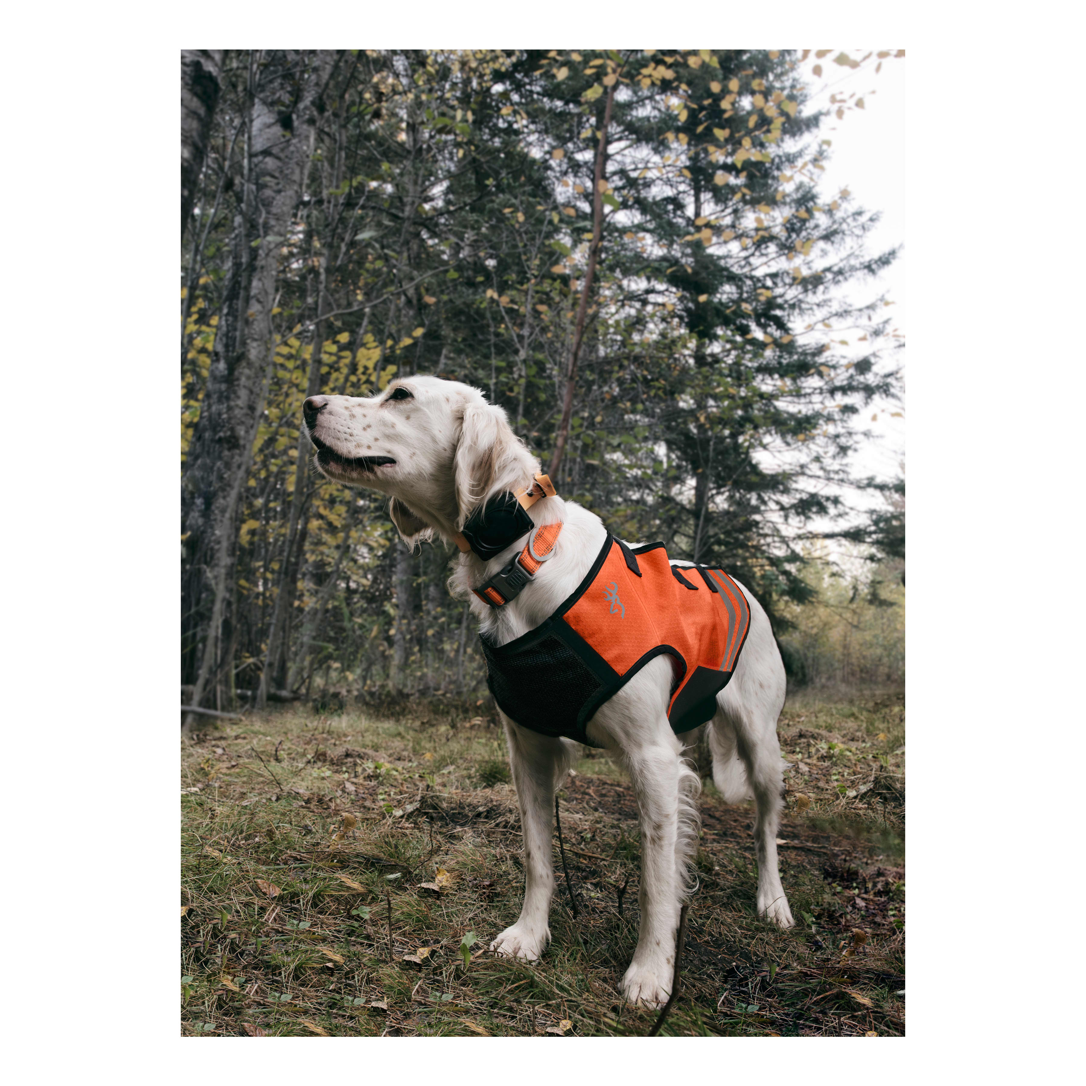 Browning® Full Coverage Safety Dog Vest