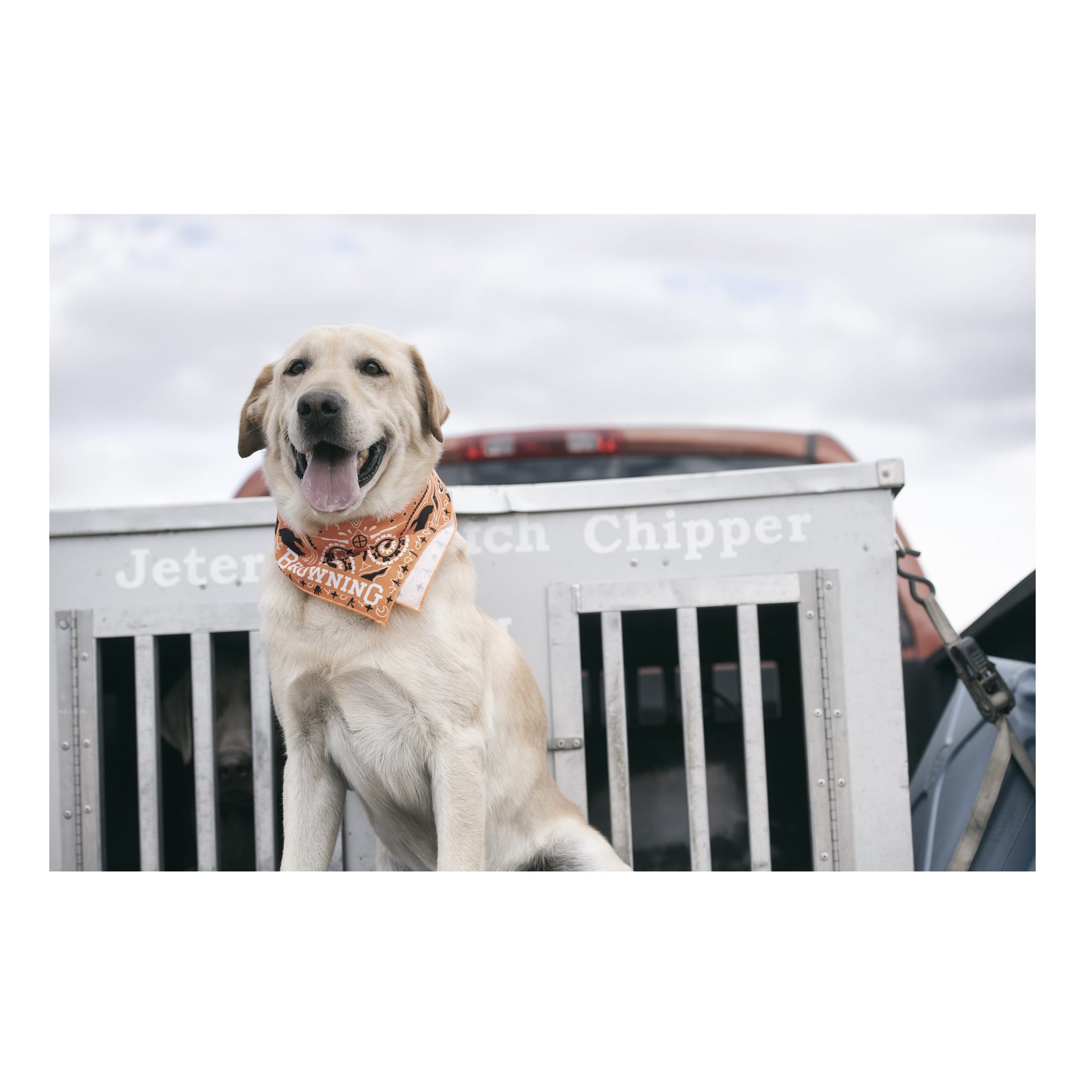 Browning Pet Bandana Cabela s Canada