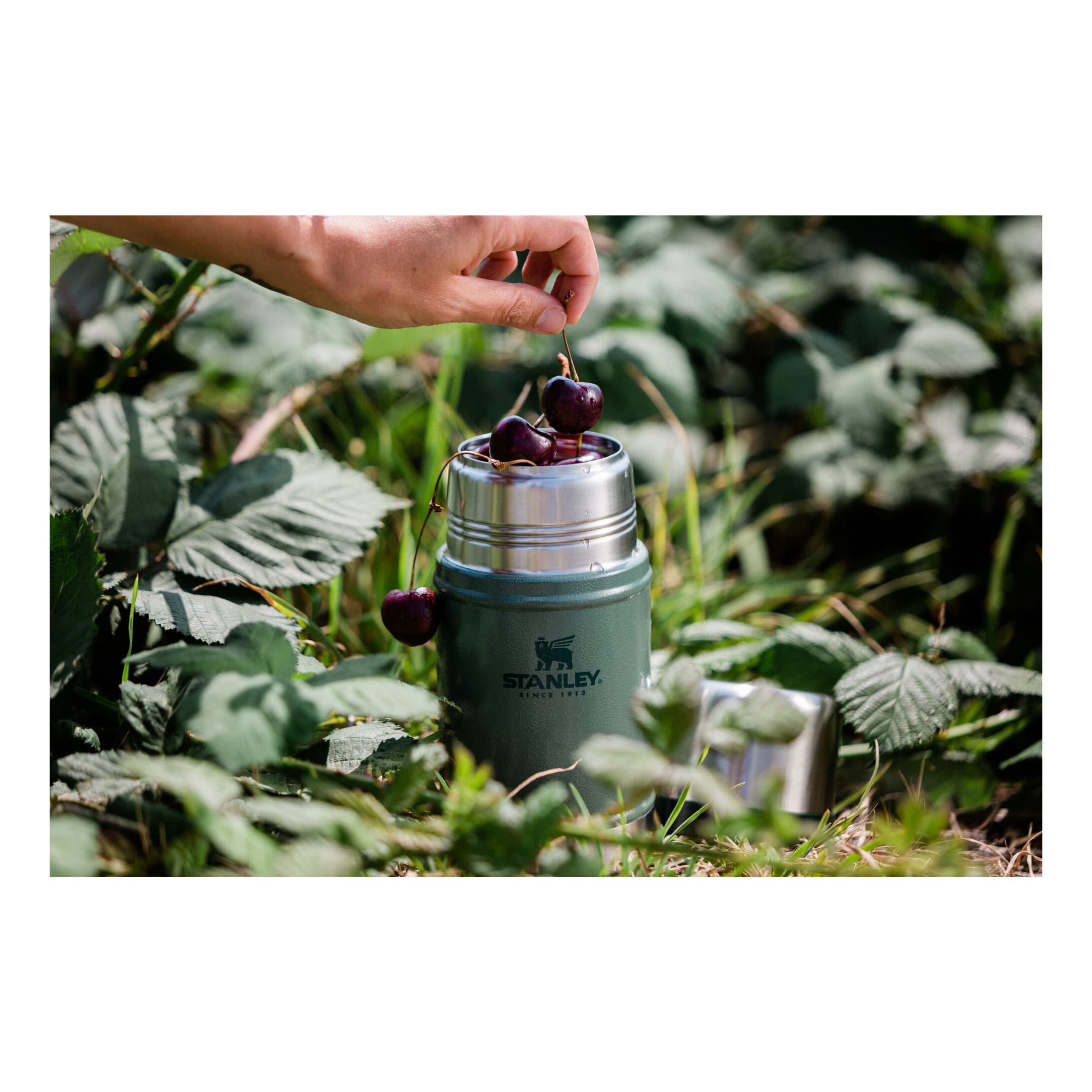 Stanley Classic Legendary Food Jar 24 oz. Cabela s Canada