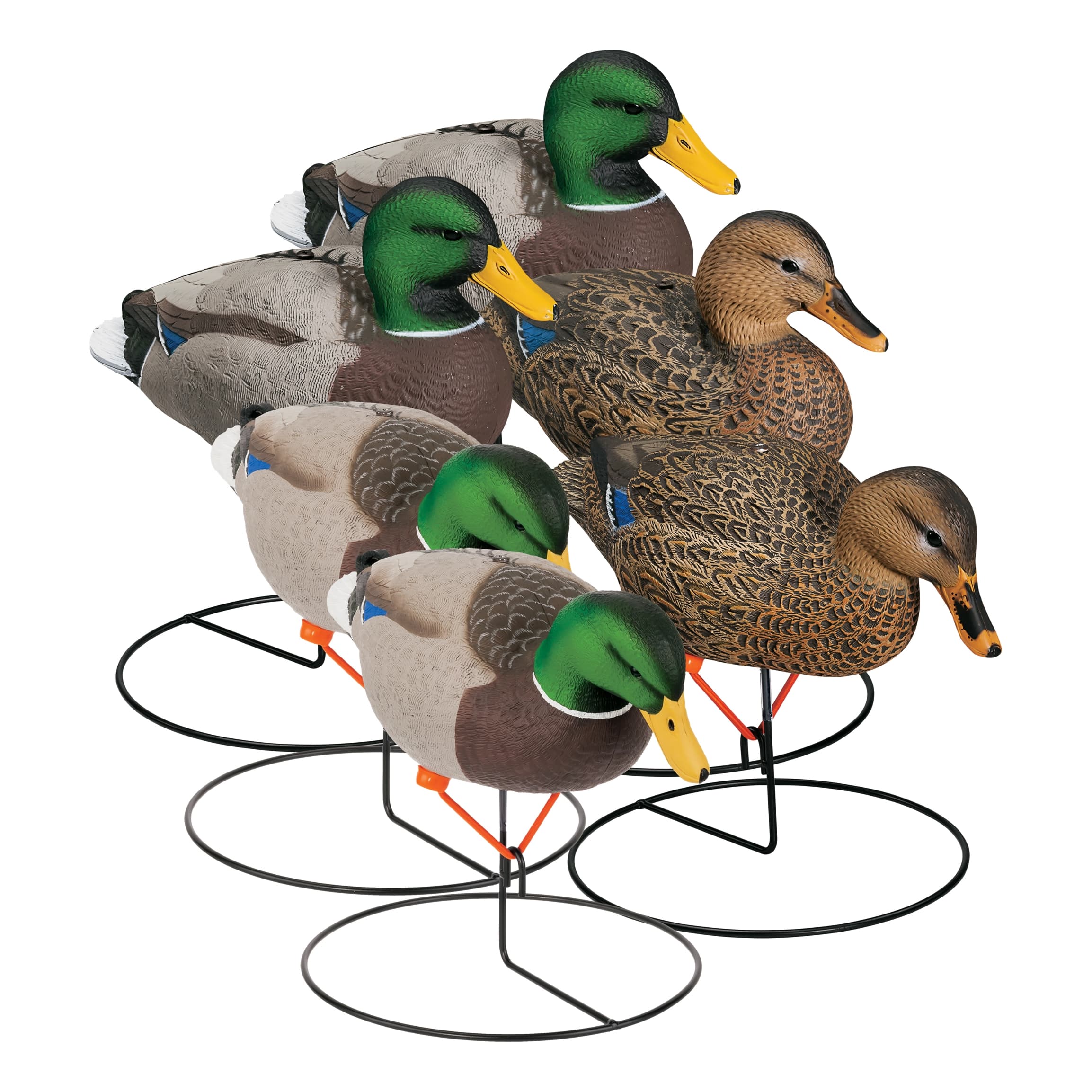 Northern Flight® Full Body Mallard II Duck Decoys | Cabela's Canada