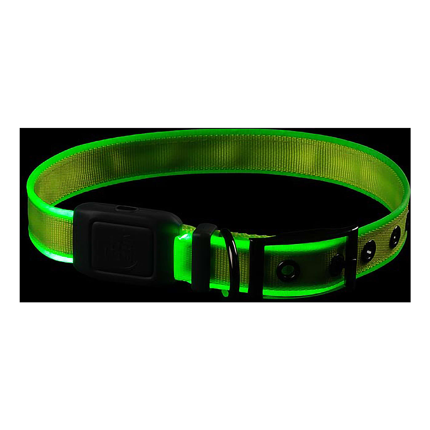 Nite Ize® Nitedog™ Rechargeable LED Collar - Lime - in use