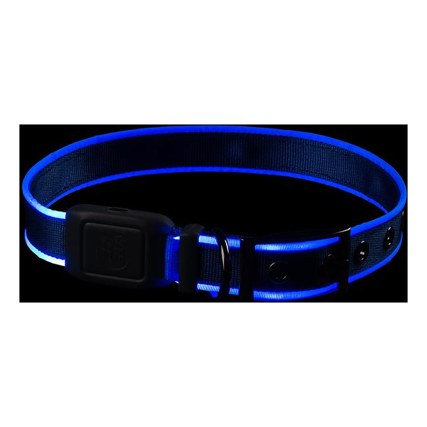 Nite Ize® Nitedog™ Rechargeable LED Collar - Blue - in use