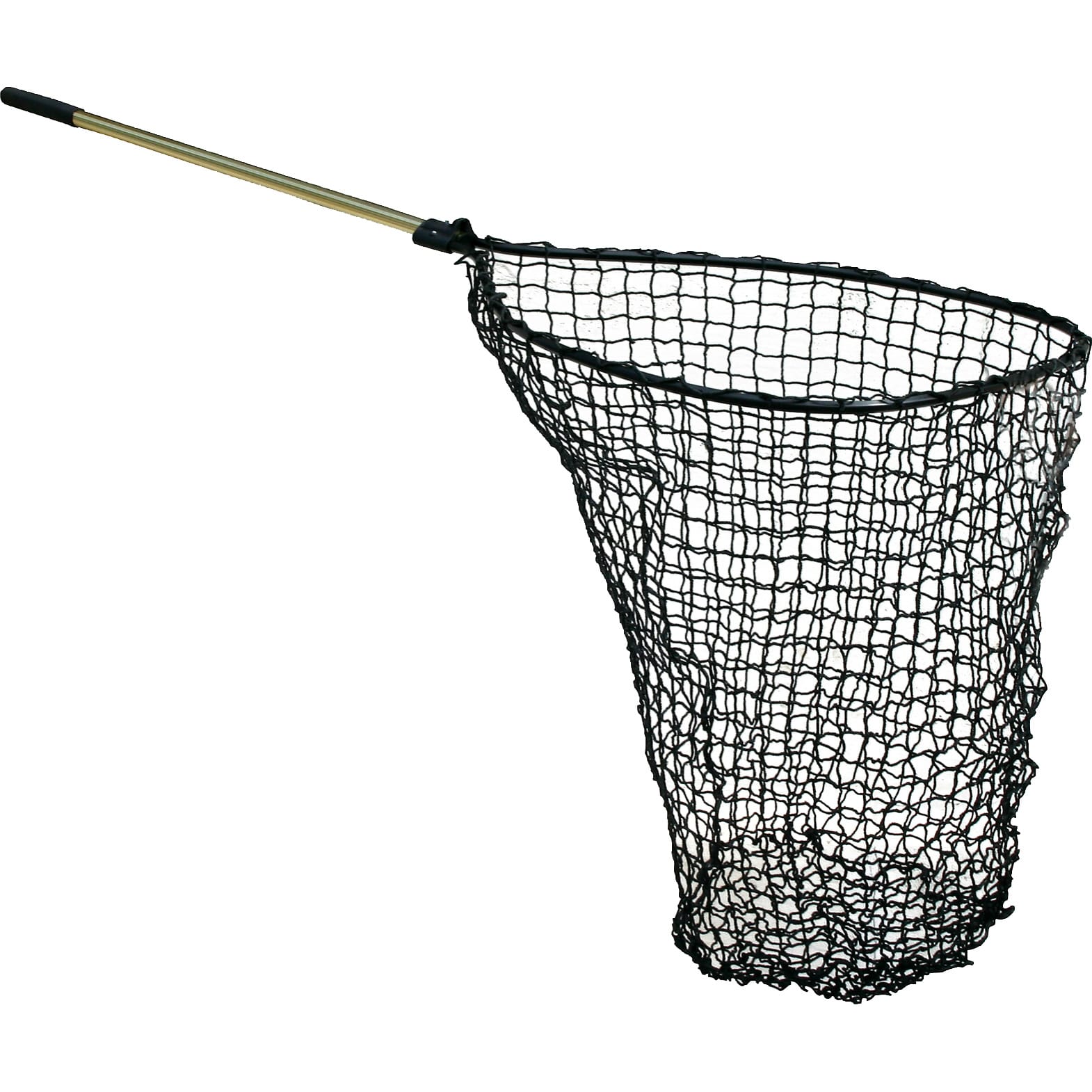 Fortis Replacement Net