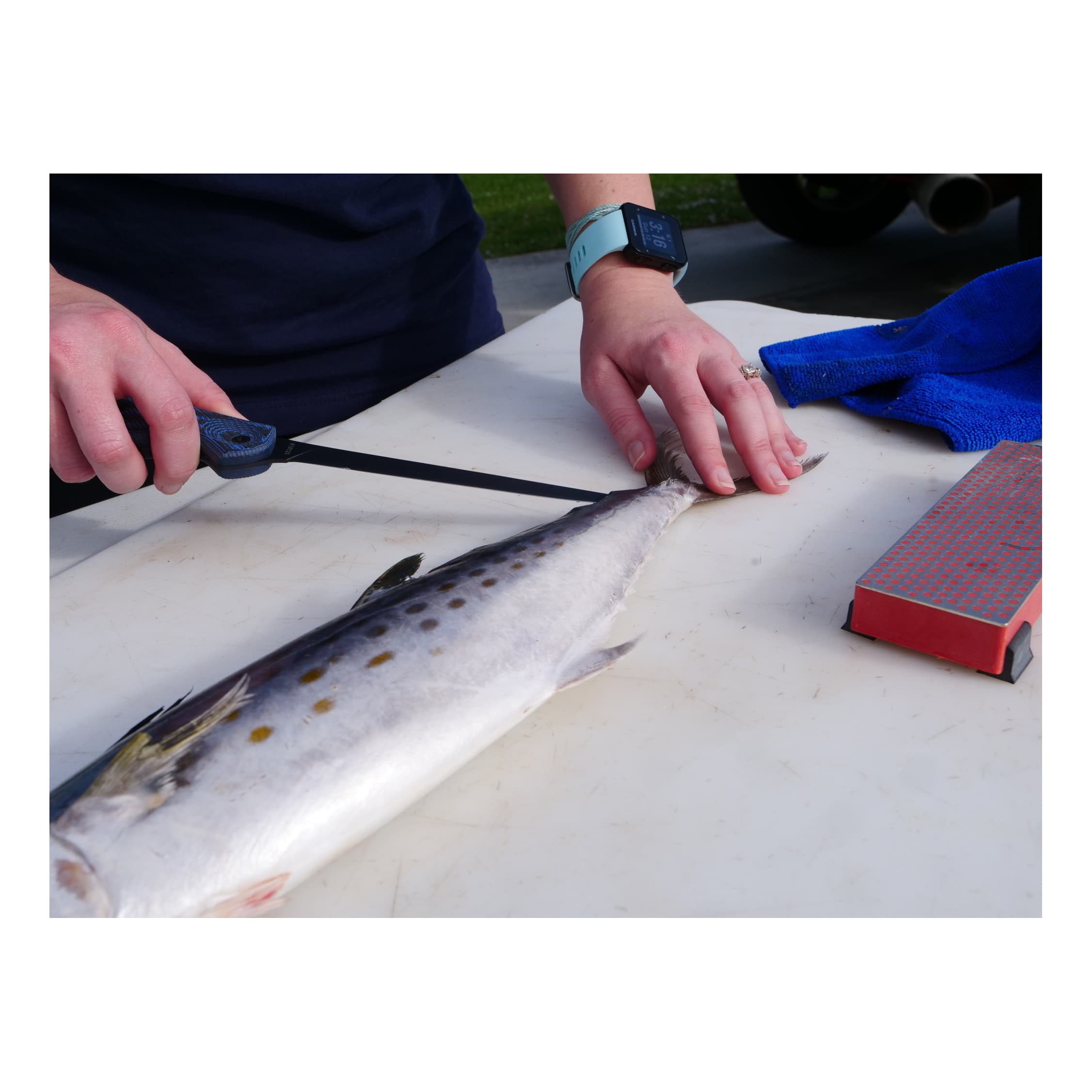 Fillet Knives & Fish Processing