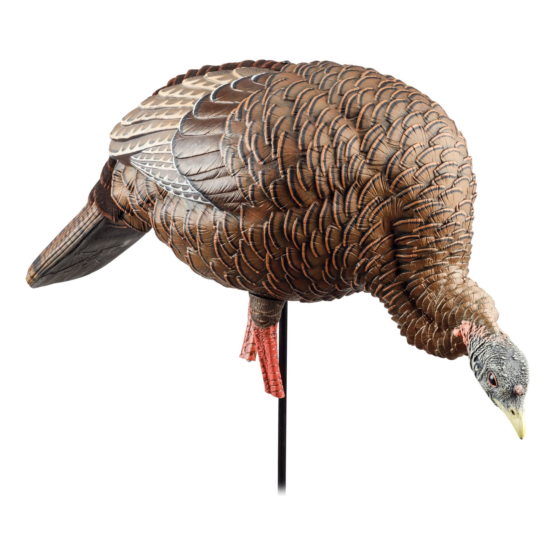 Avian-X® HDR Heavy-Duty Realism Full-Body Feeder Hen Turkey Decoy