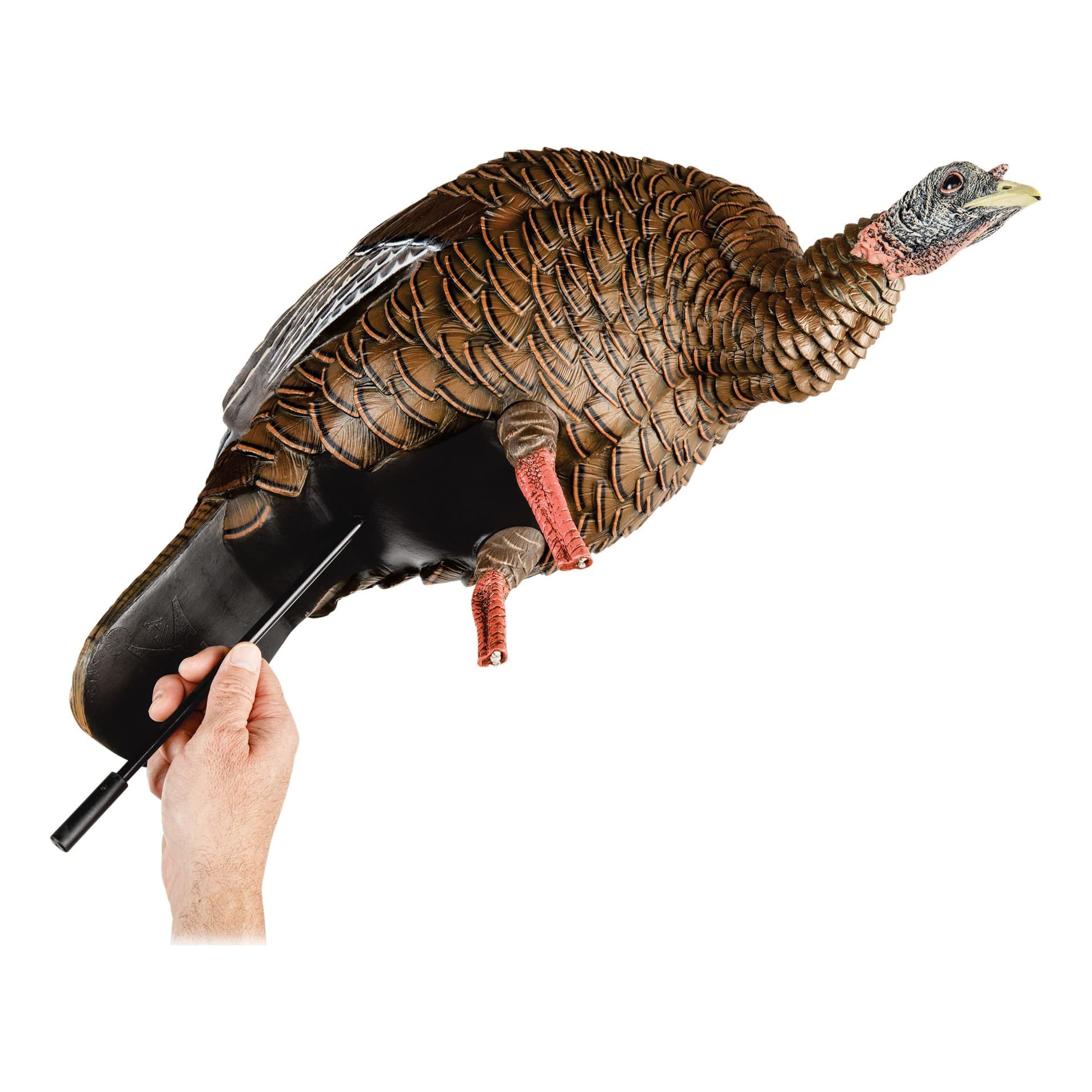AvianX® HDR HeavyDuty Realism FullBody Feeder Hen Turkey Decoy Cabela's Canada