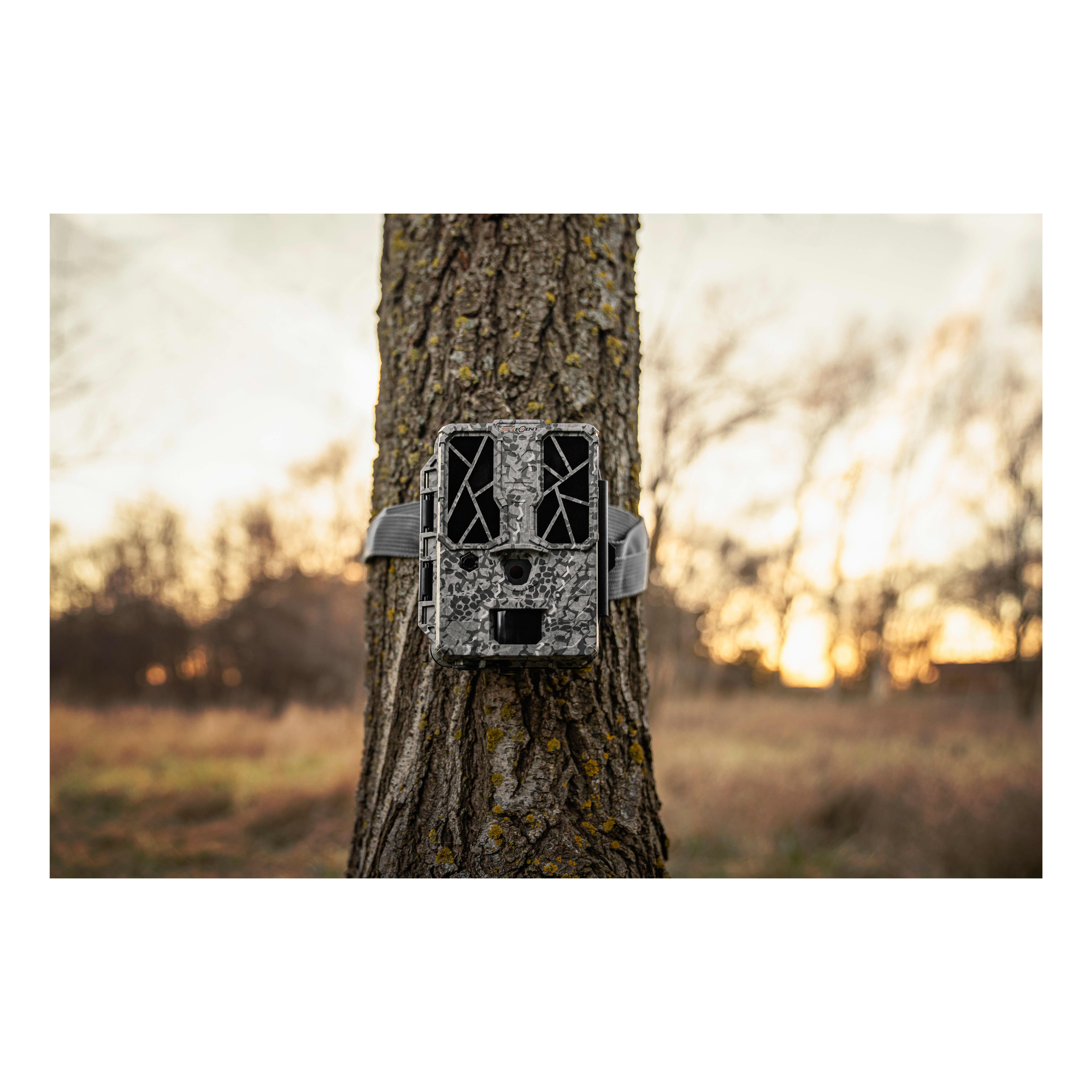 SPYPOINT® FORCEPRO Trail Camera Cabela's Canada