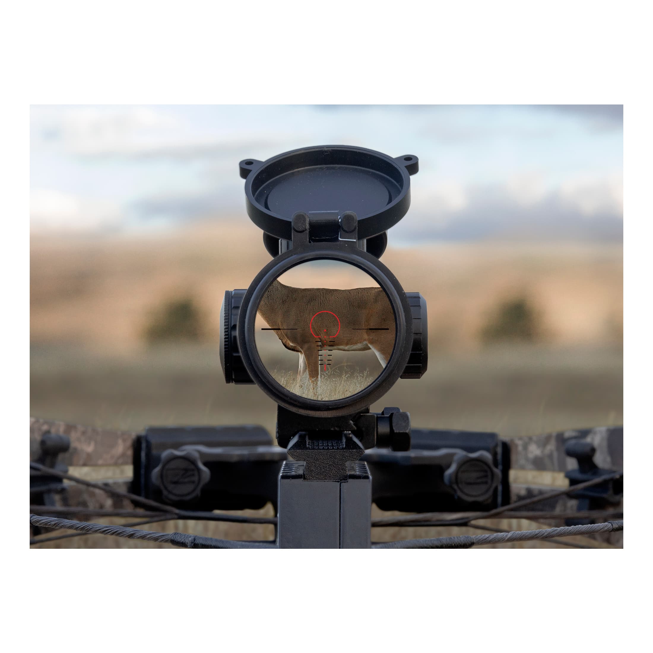 Killer Instinct® LUMIX™ Speed Ring Crossbow Scope Cabela's Canada