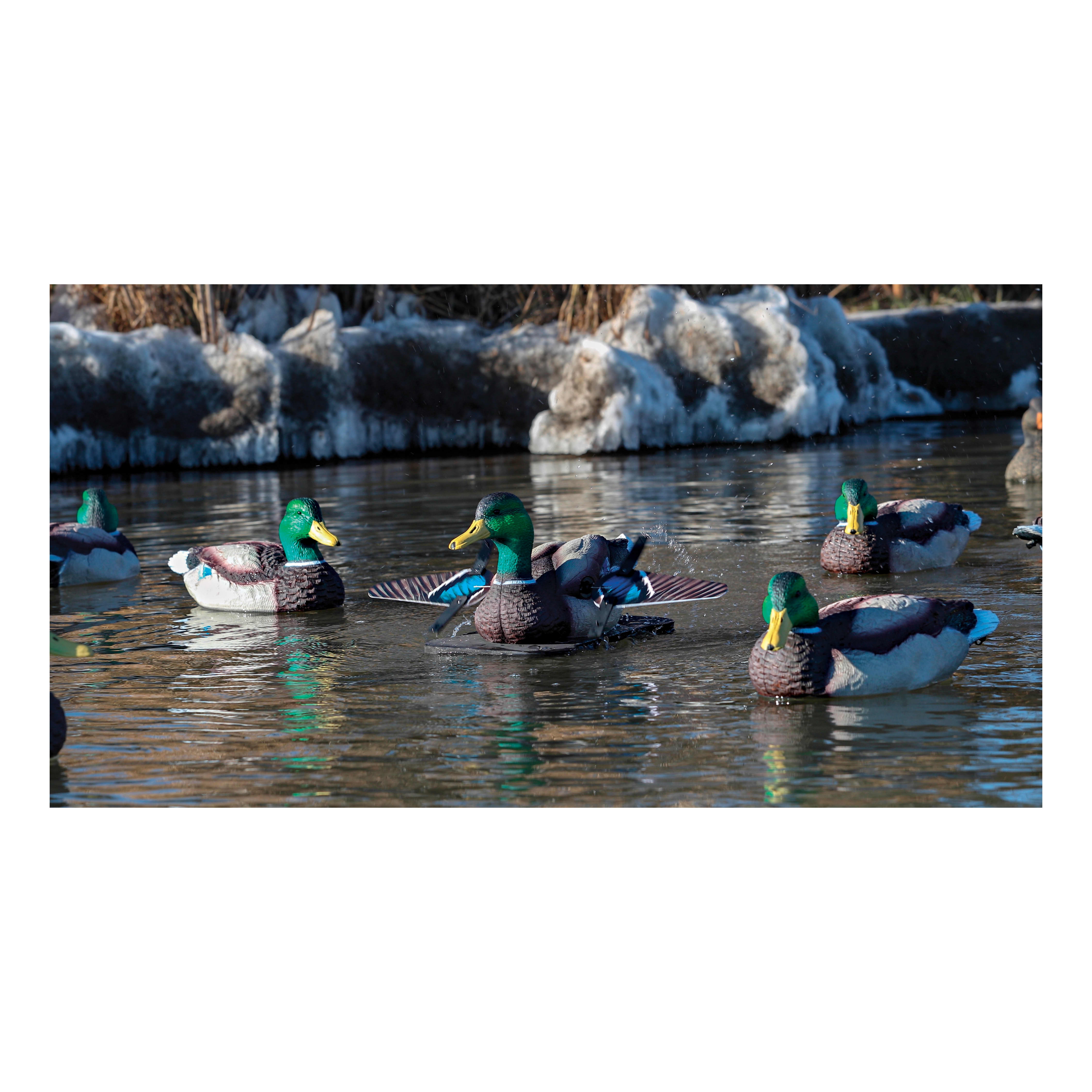 Lucky Duck® Lucky Splasher HD Motorized Duck Decoy with Remote 2.0