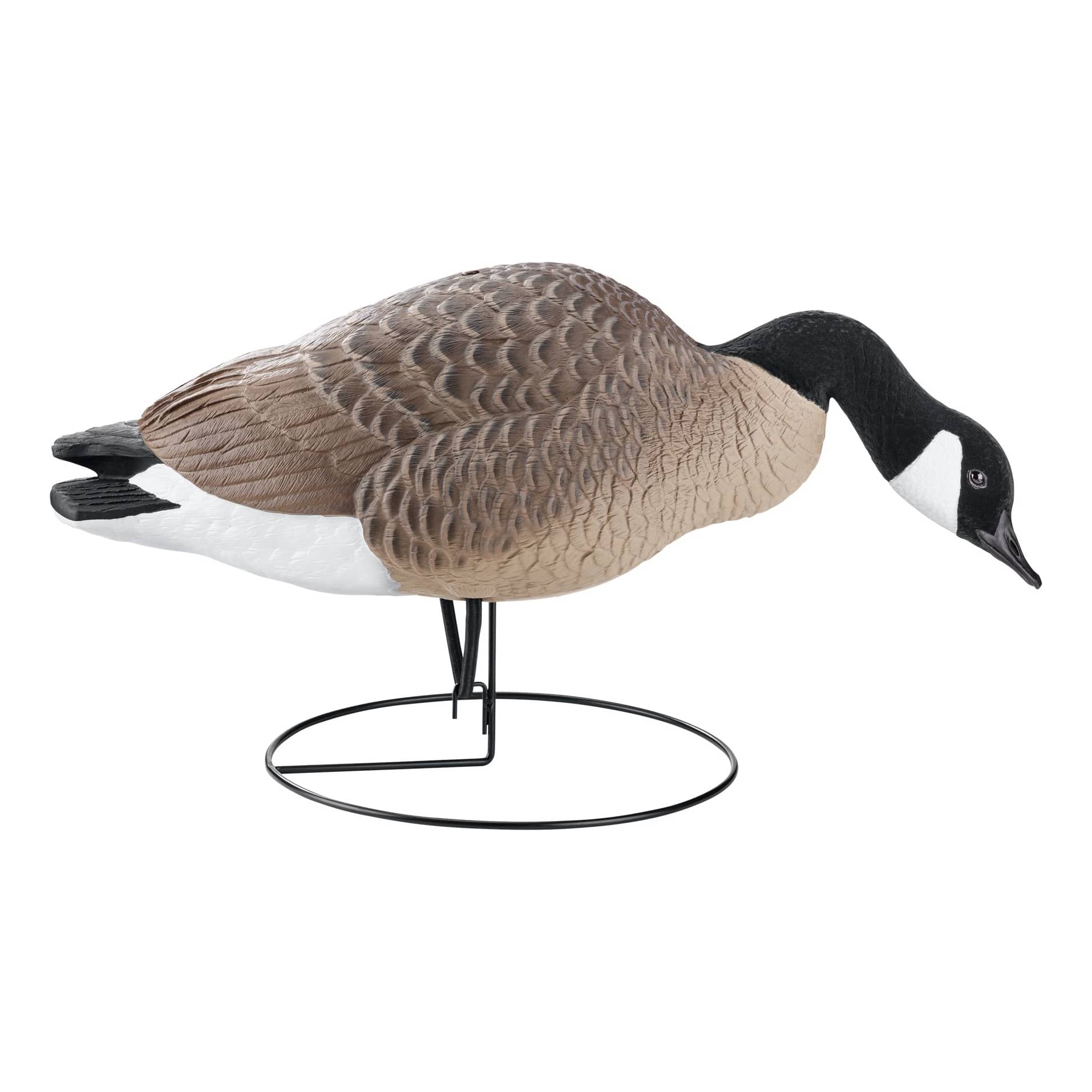 Northern Flight Full Body Canada Goose Decoys Cabela s Canada