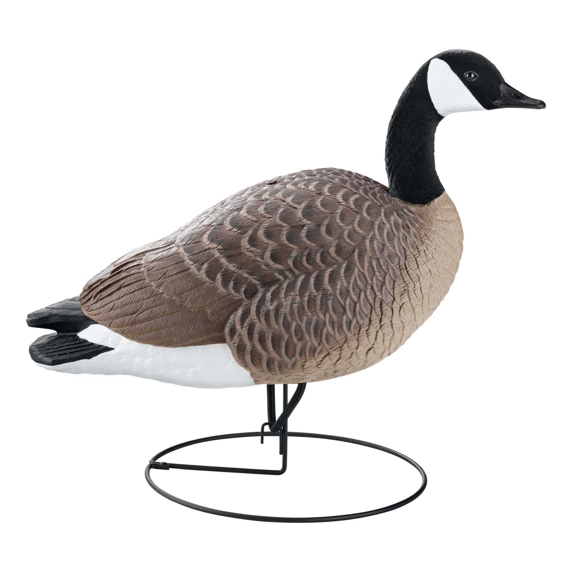 Northern Flight® FullBody Canada Goose Decoys Cabela's Canada