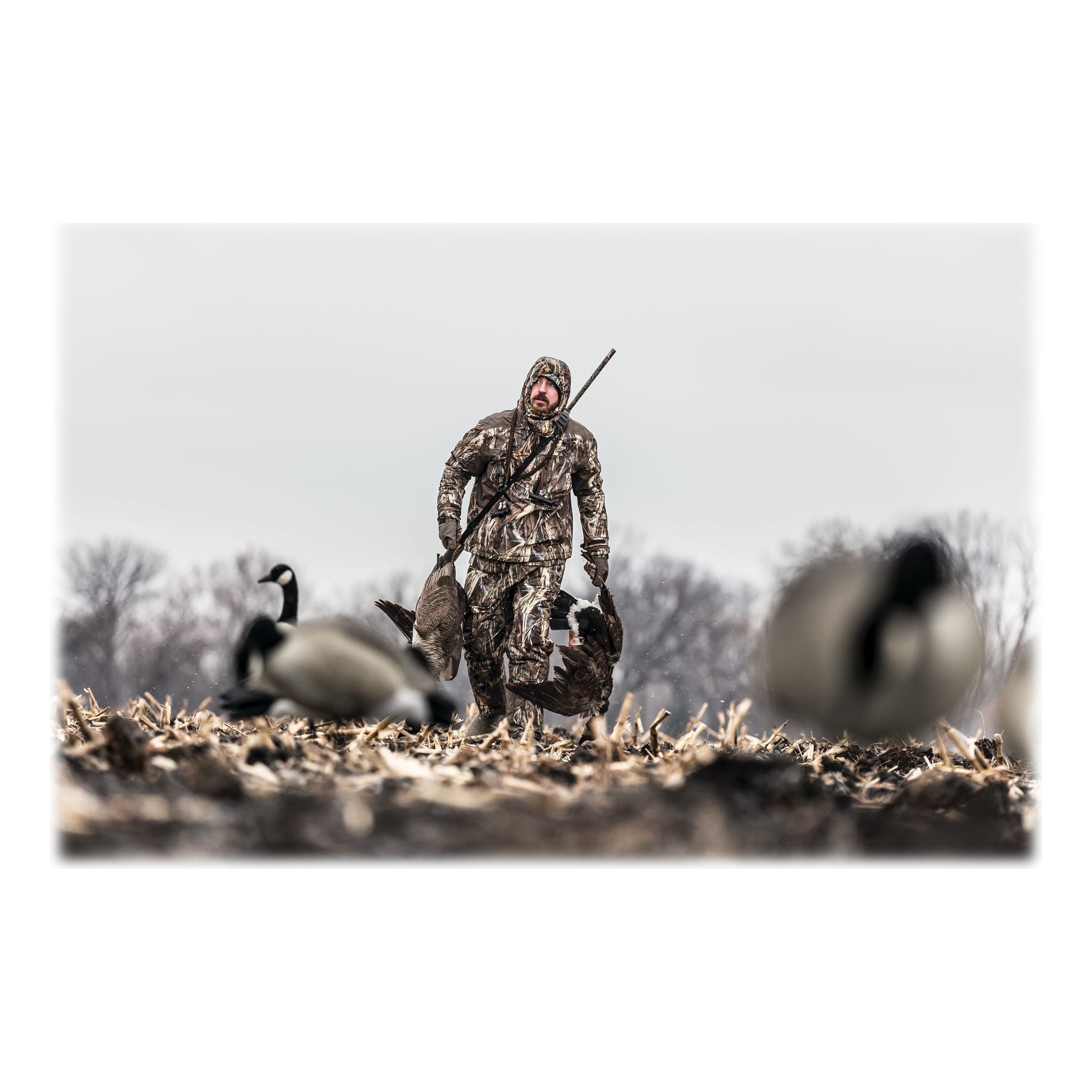 Northern Flight® Full-Body Canada Goose Decoys