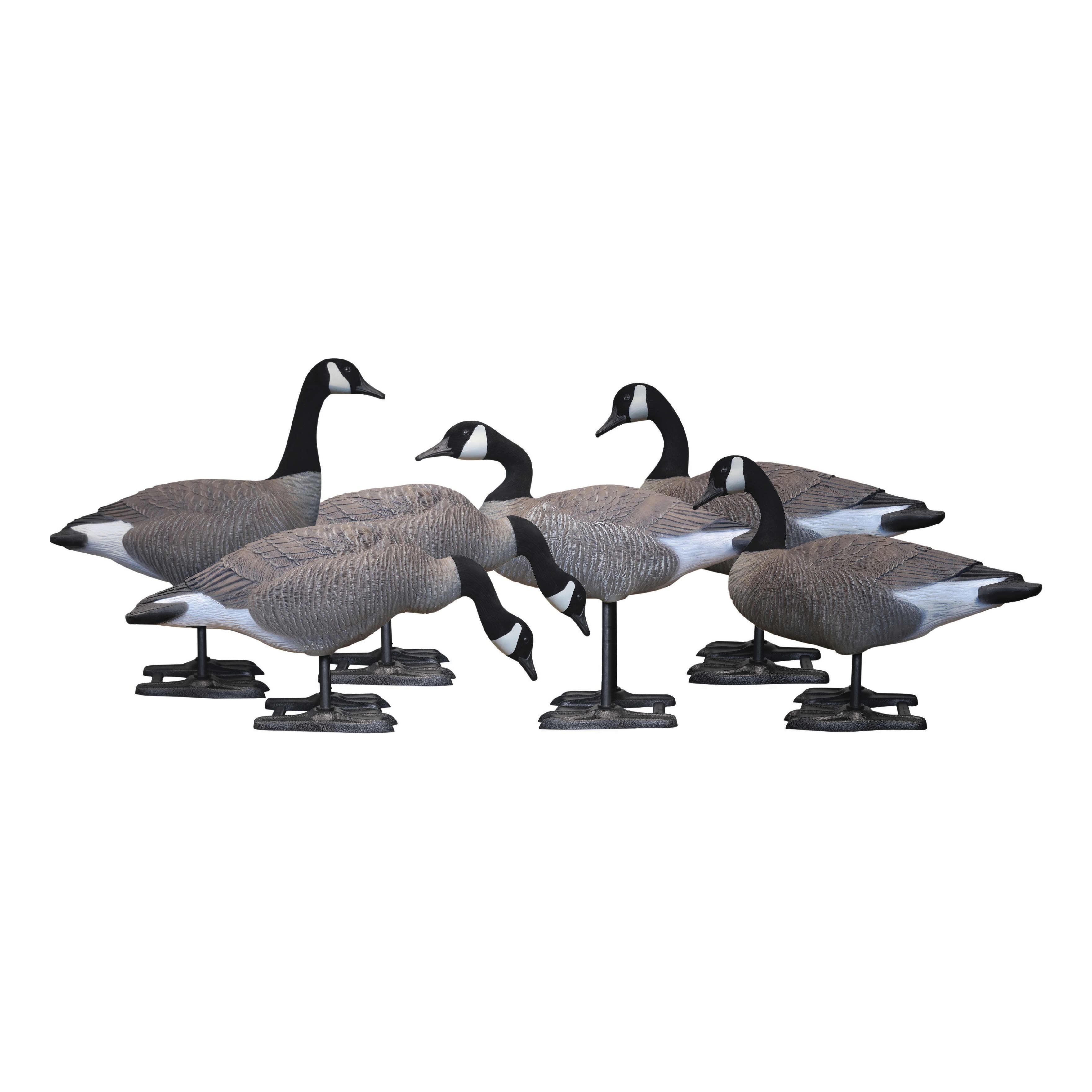 BigFoot B2 Full Body Canada Goose Variety Decoy Pack Cabela s