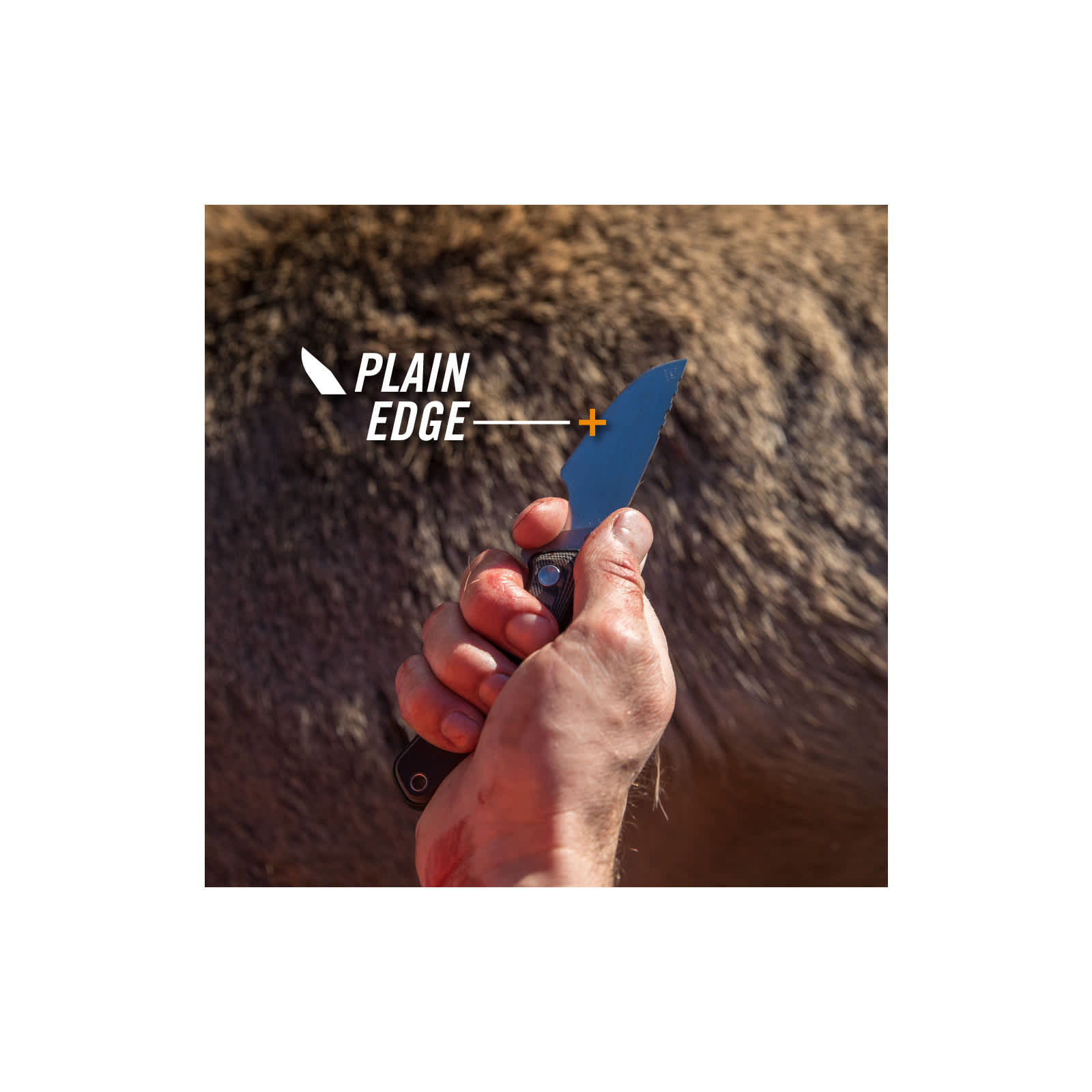 Gerber® Downwind Caper Fixed Blade Knife Cabela's Canada