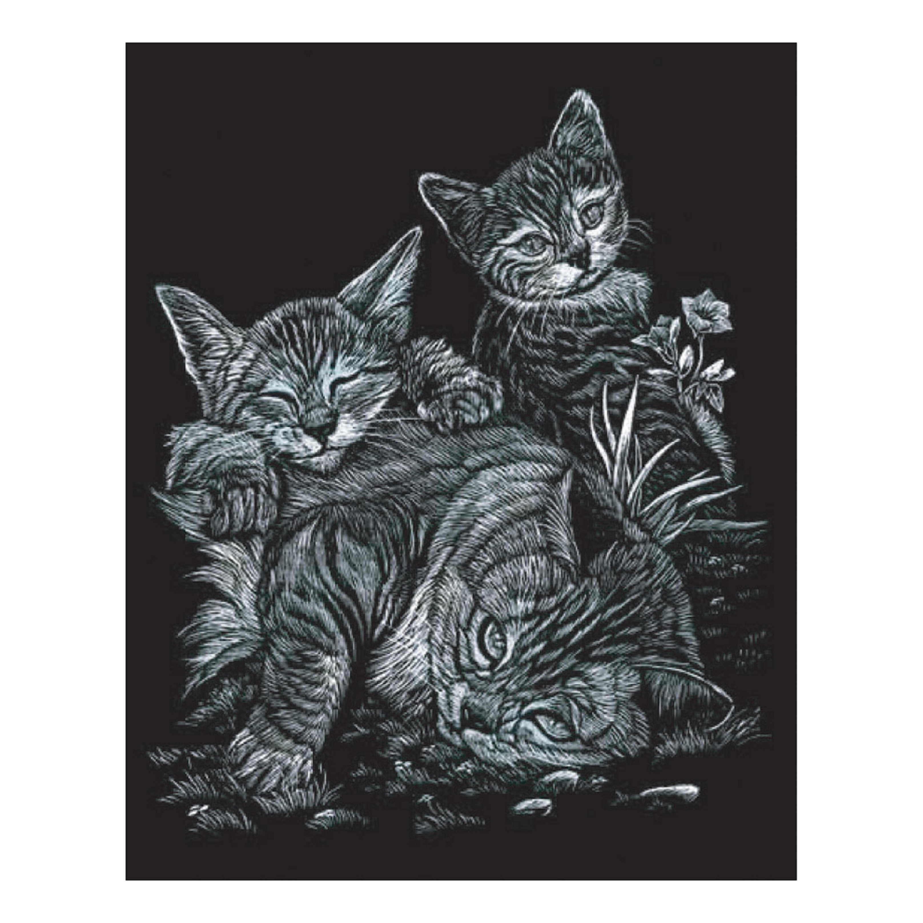Engraving Art Tabby Cat & Kittens