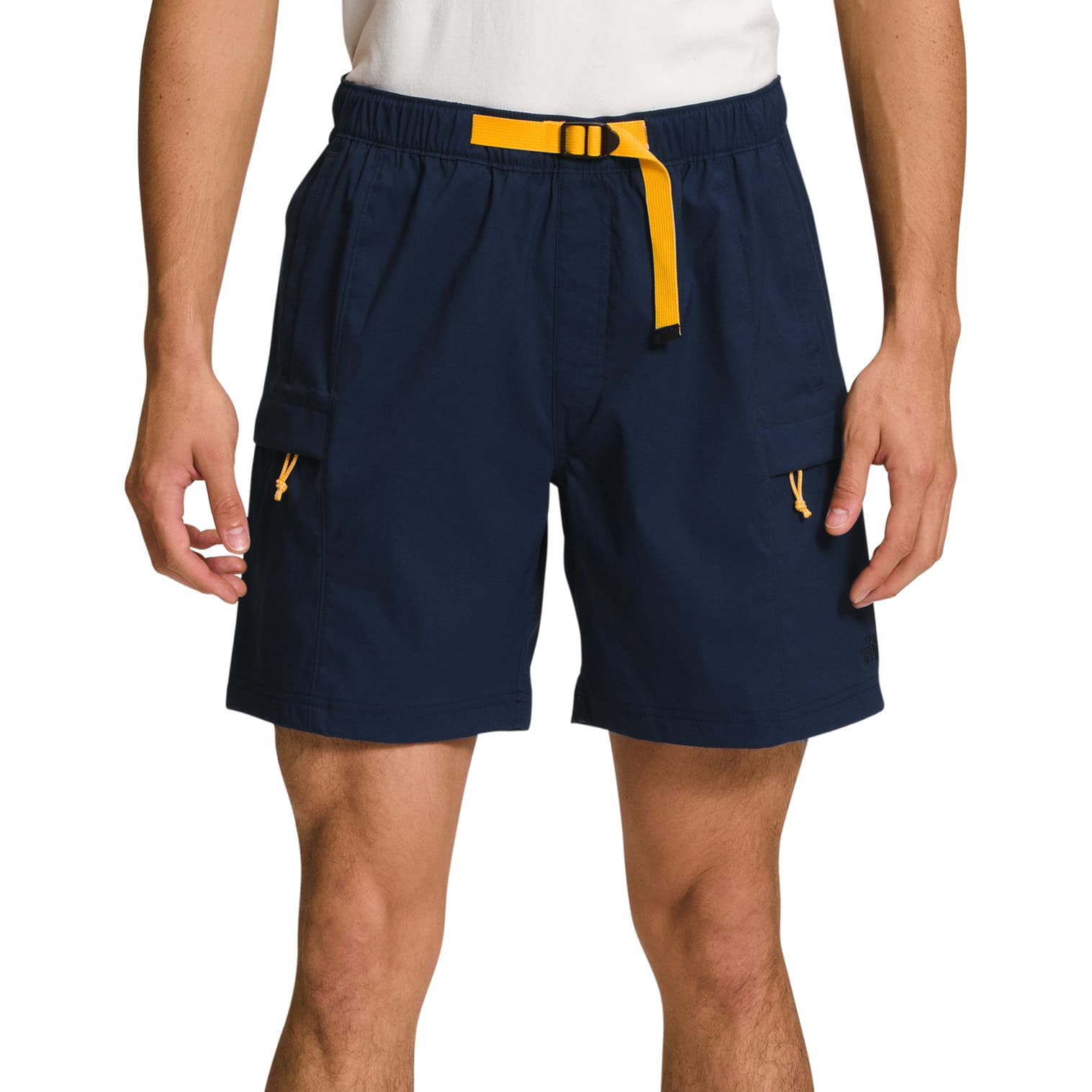 Navy blue north face shorts sale