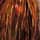 Goldie Locks