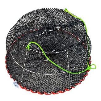 Maxbell 6 Hole Fishing Eel Cage Trap Baits Mesh for Prawn Lobster Crawdad  at Rs 2517.00, Fishing Accessories