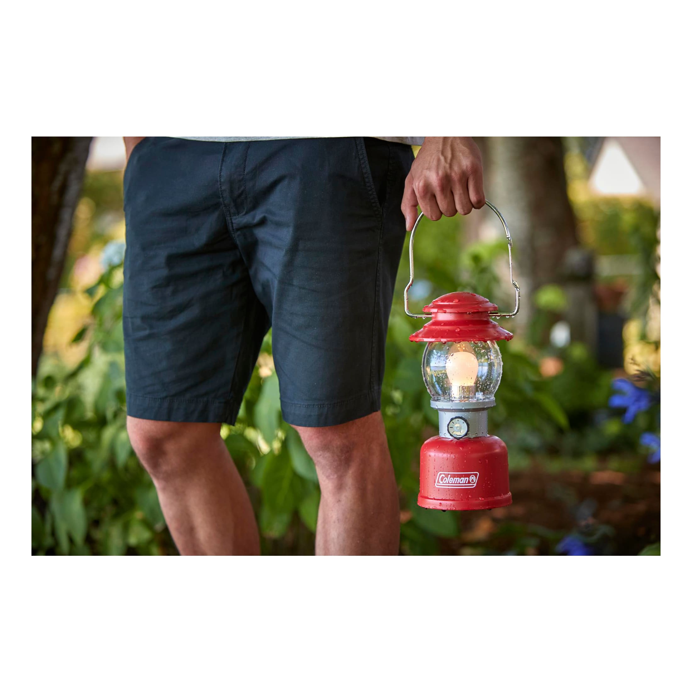 Coleman® Classic 500 Lumens LED Lantern Cabela's Canada