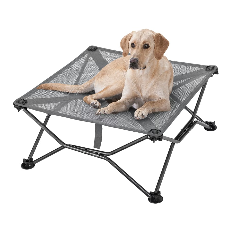 Dog bed cots clearance