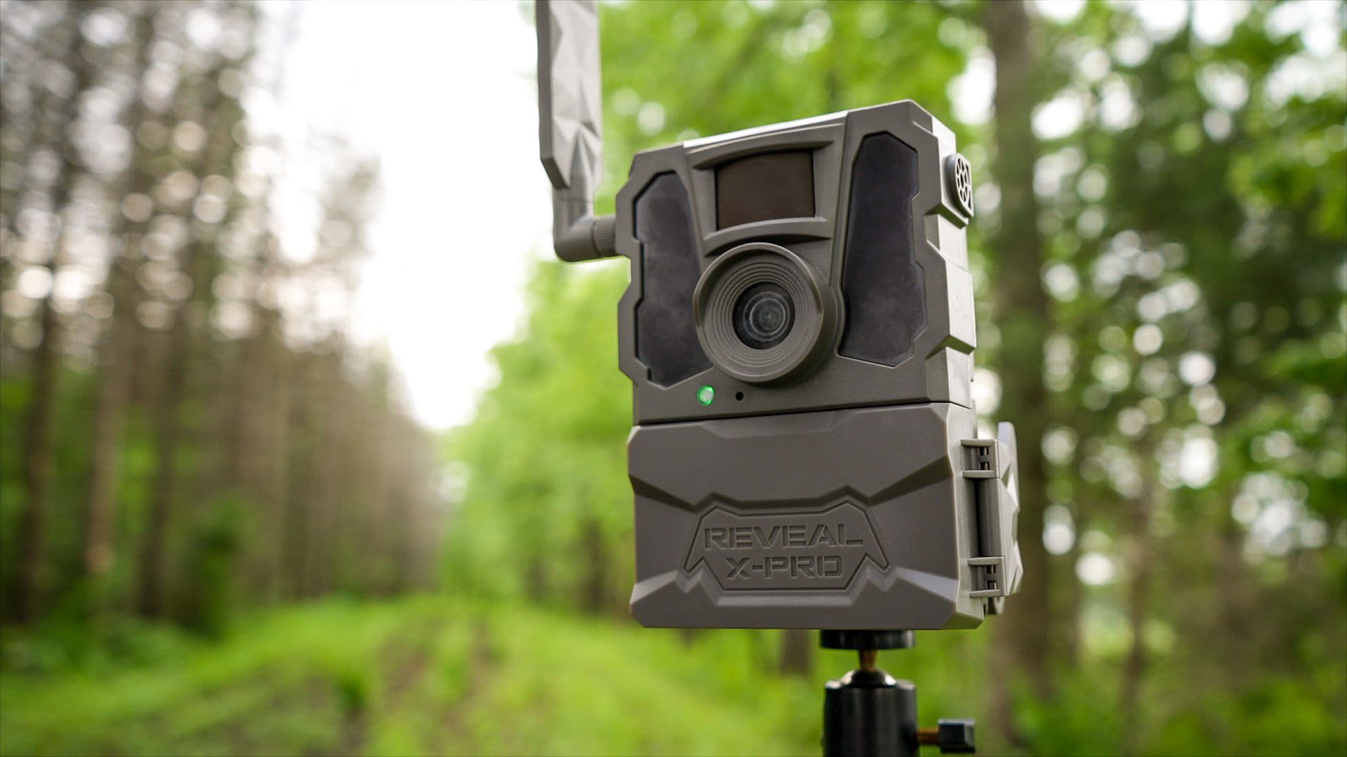 Tactacam™ REVEAL XPro Cellular Trail Camera Cabela's Canada