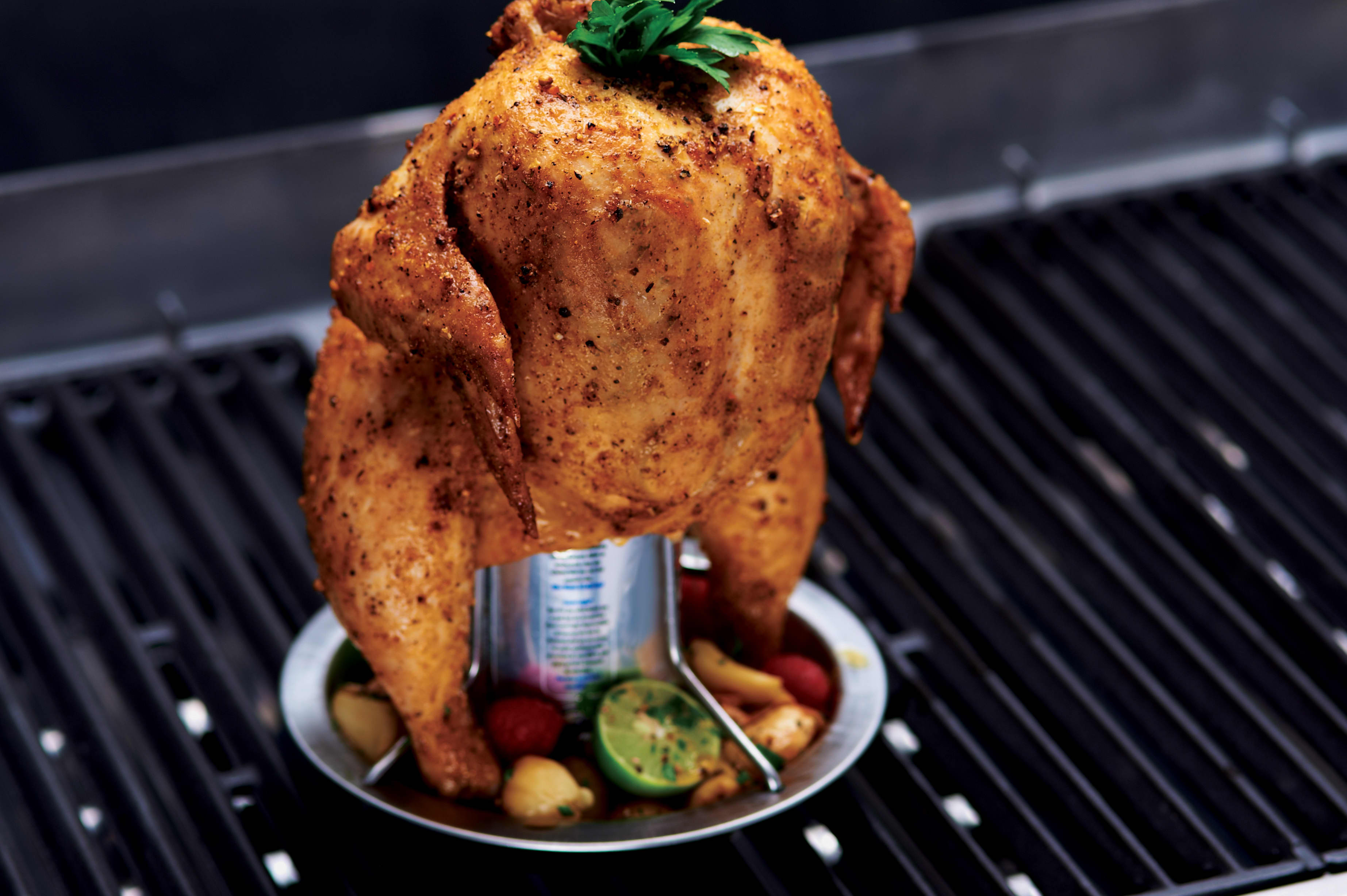 Grill Pro® Stainless Steel Chicken Roaster with Brush