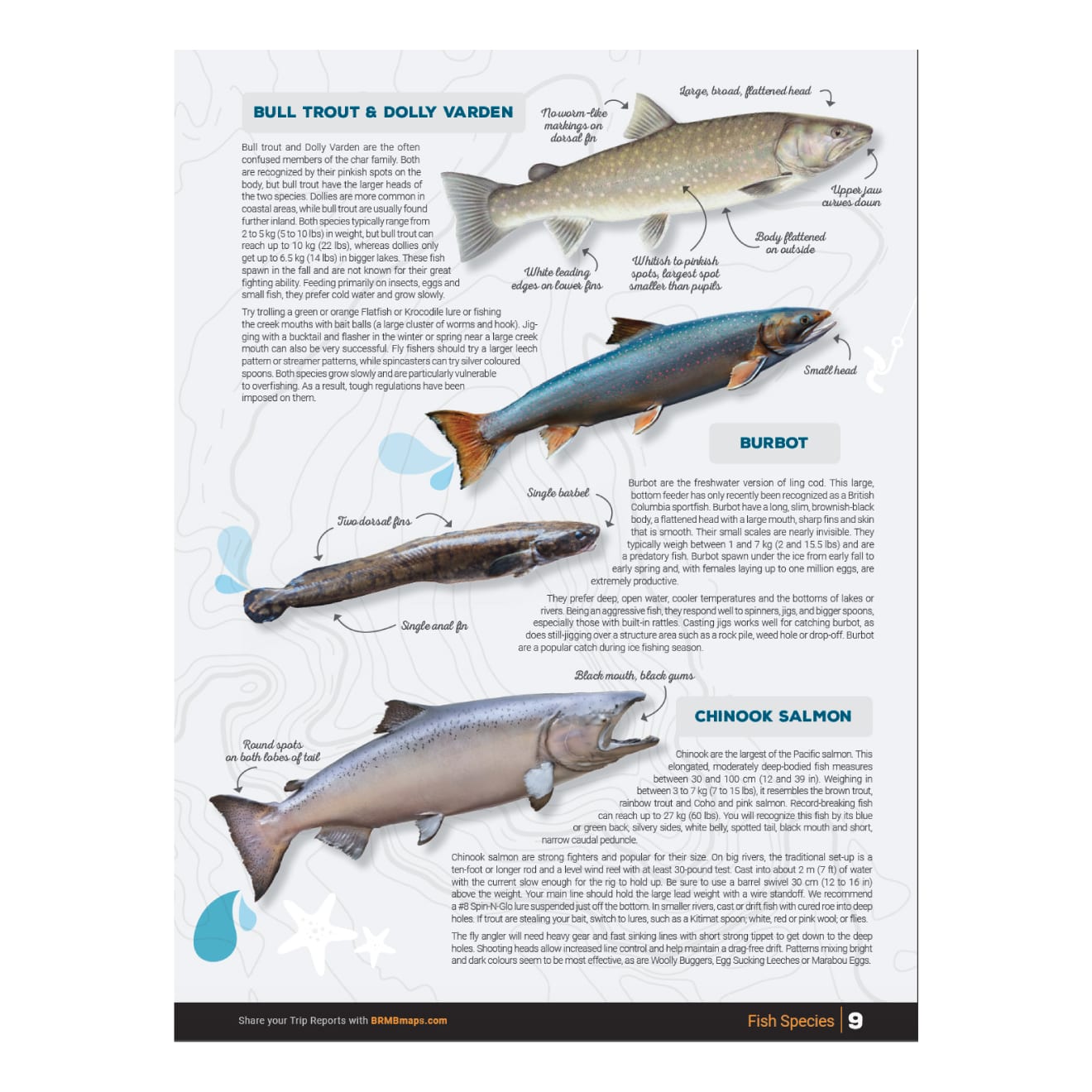 Backroad Mapbook Thompson Okanagan BC Fishing Mapbook Cabela's Canada